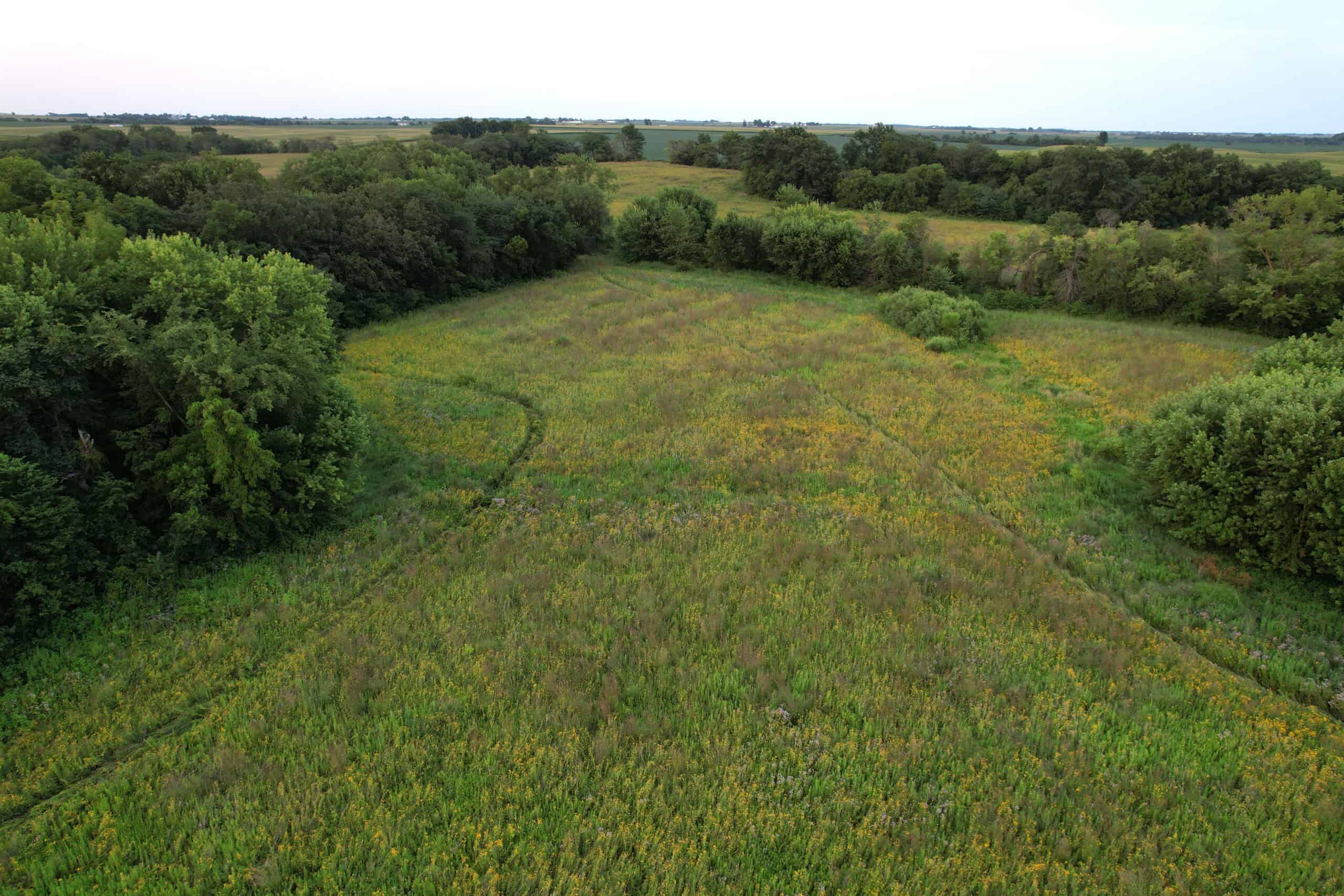 Wapello County 73.12+/- Acres