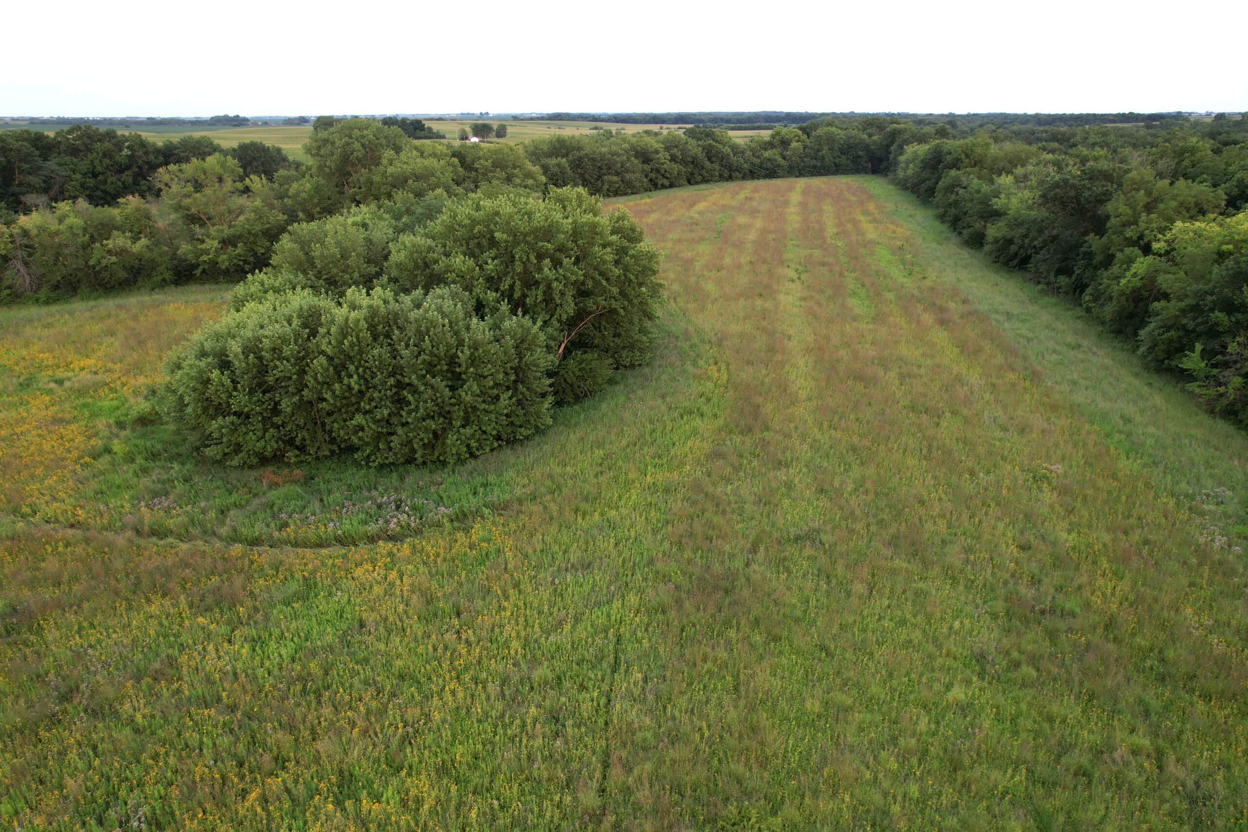 Wapello County 73.12+/- Acres