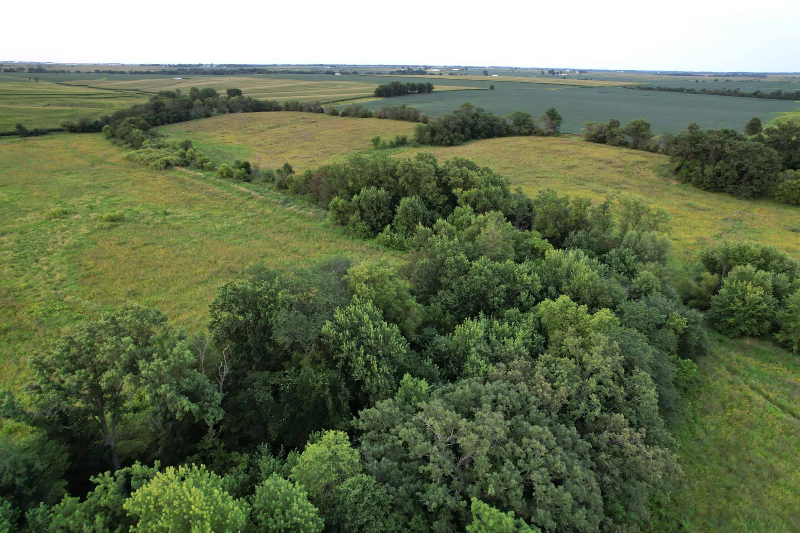 Wapello County 73.12+/- Acres