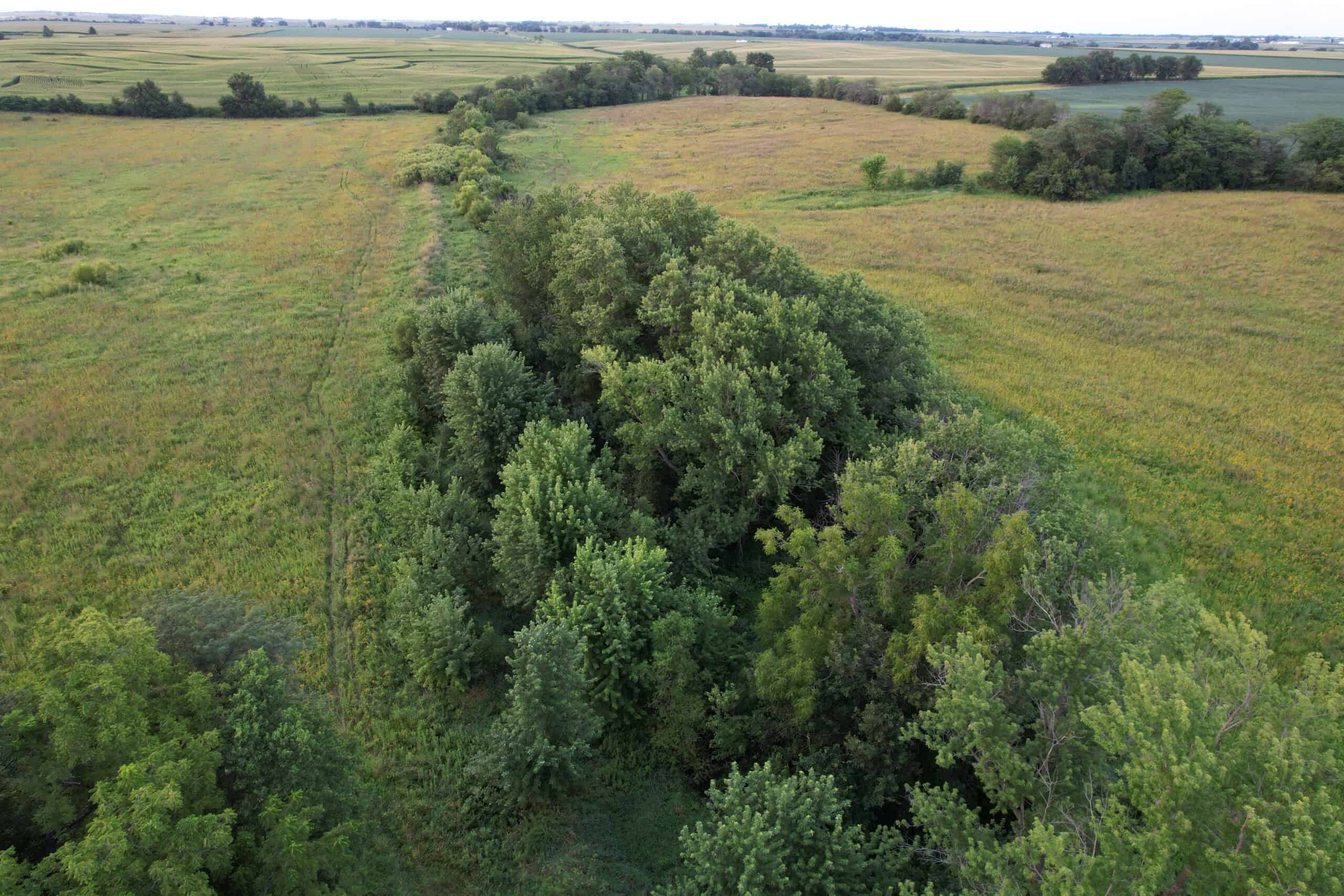 Wapello County 73.12+/- Acres