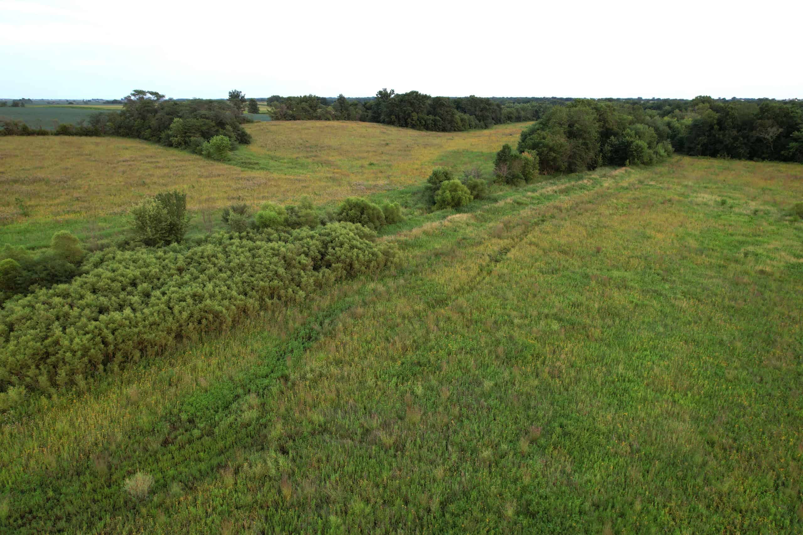 Wapello County 73.12+/- Acres