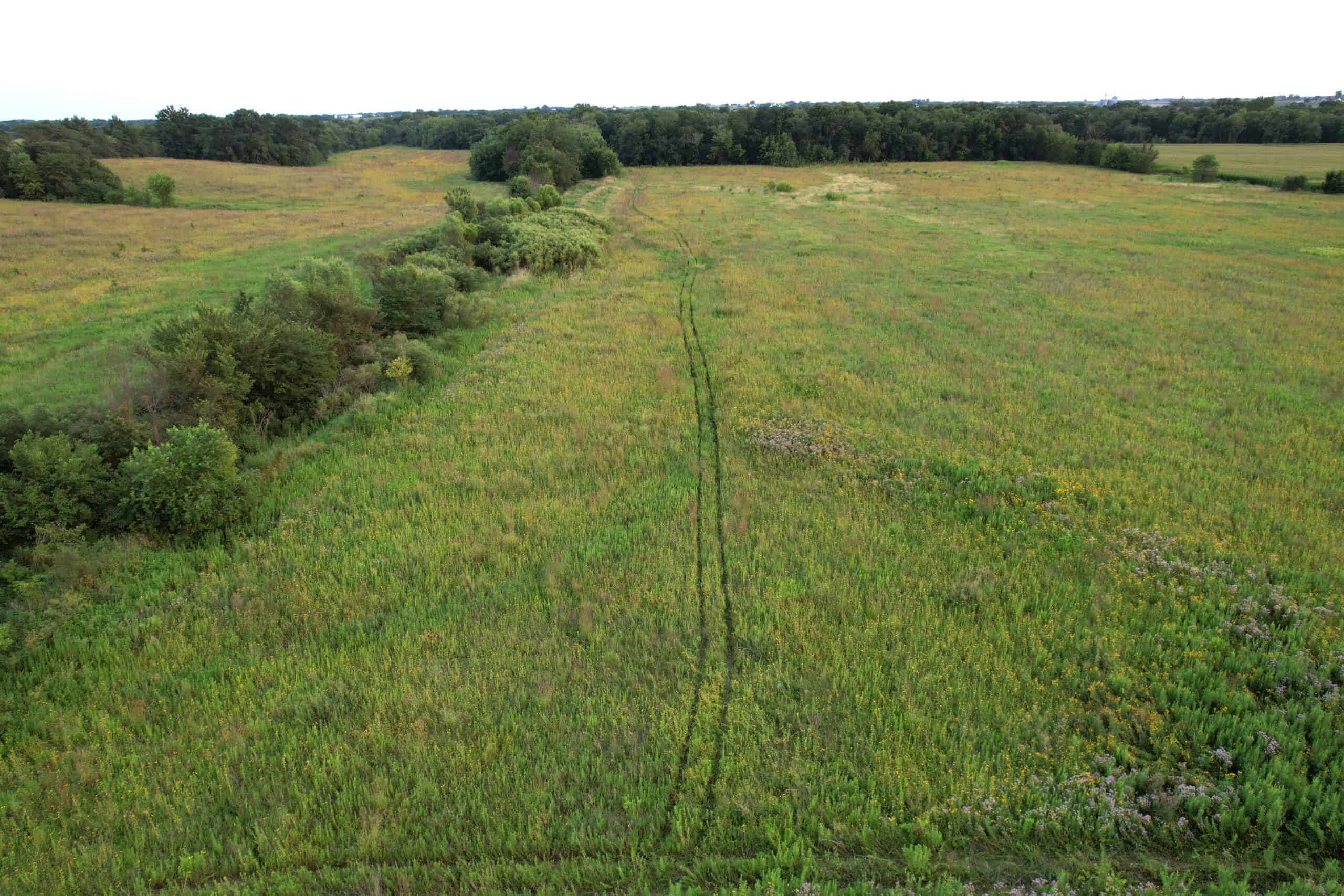 Wapello County 73.12+/- Acres