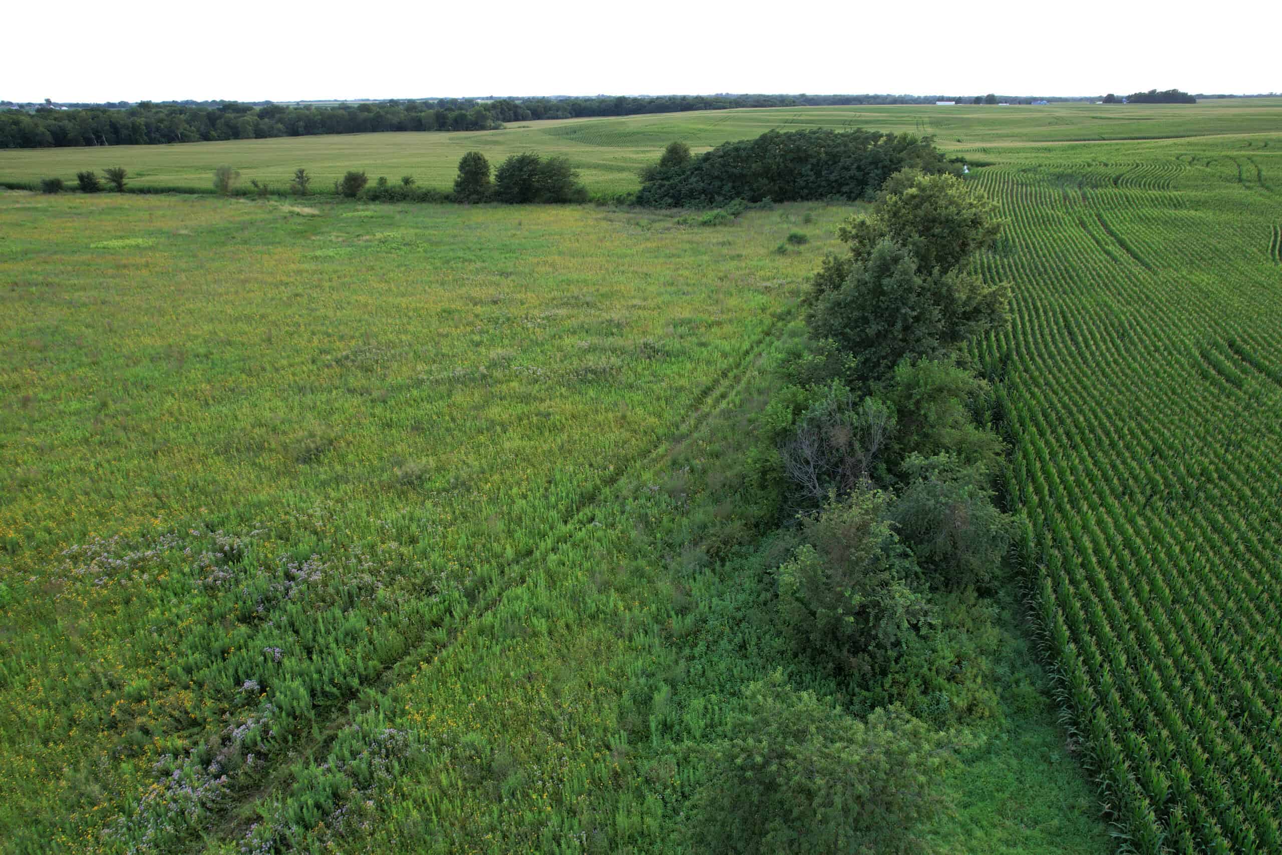 Wapello County 73.12+/- Acres