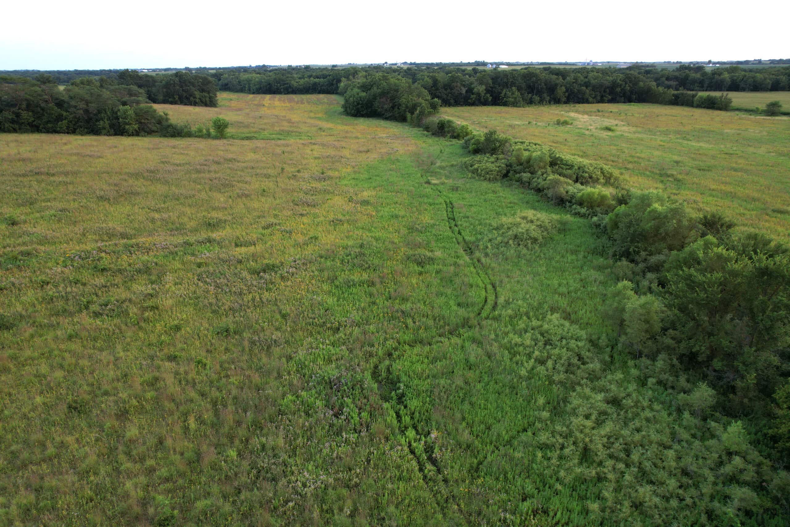 Wapello County 73.12+/- Acres