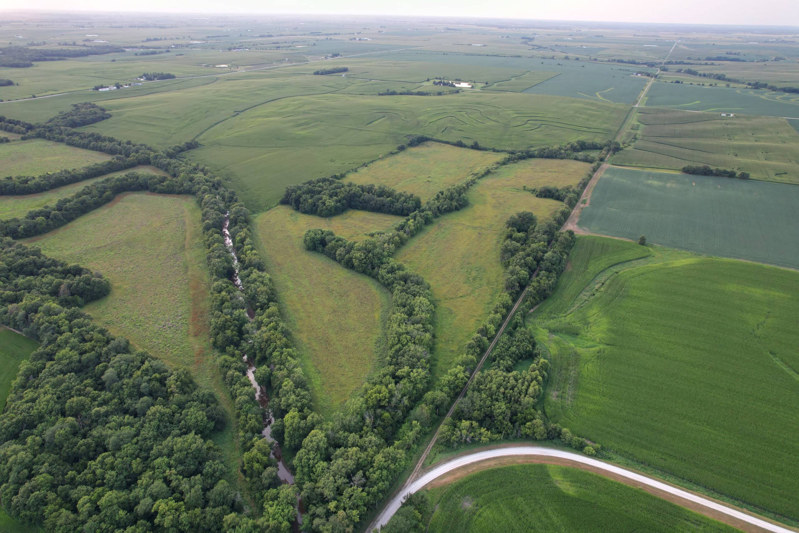 Wapello County 73.12+/- Acres
