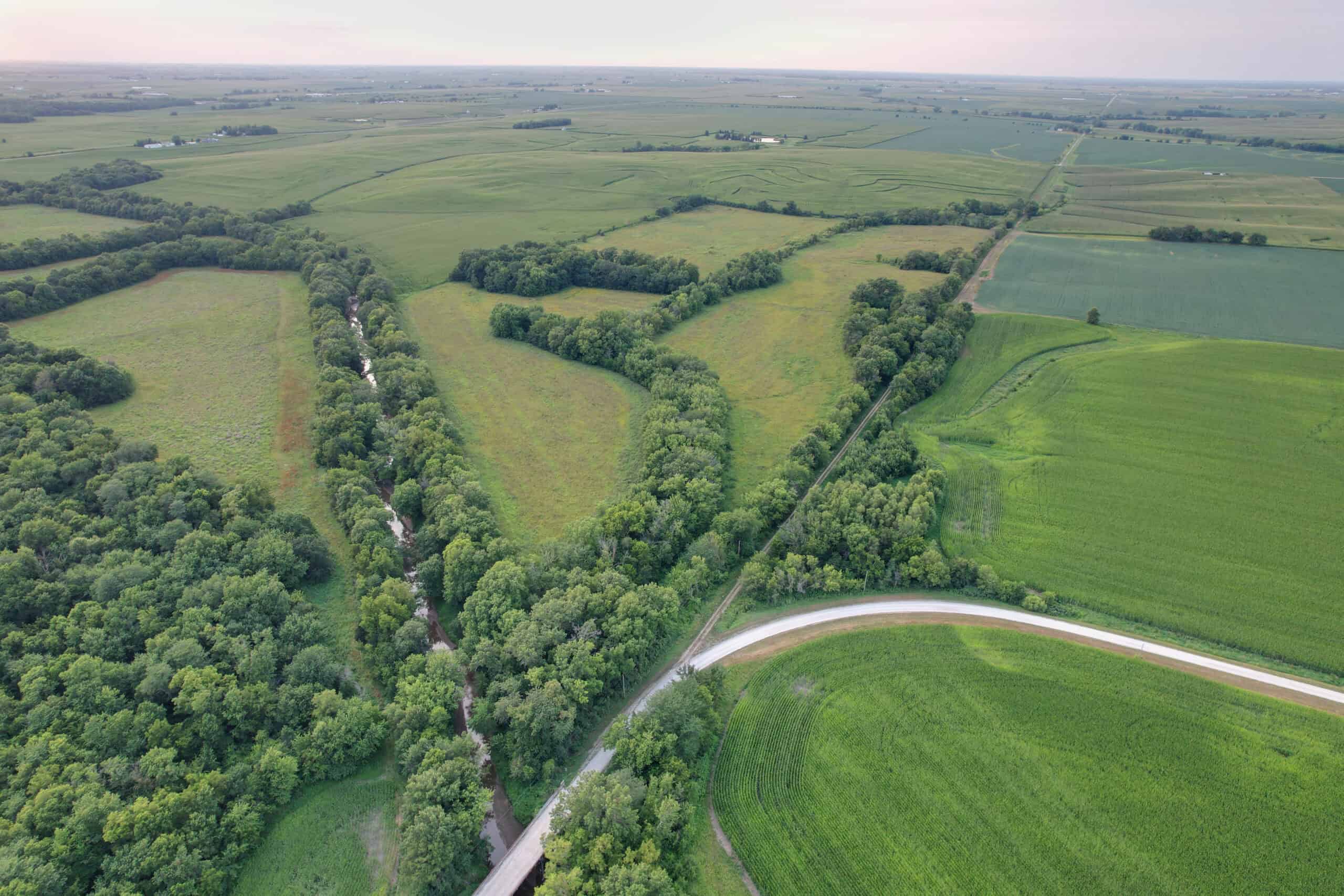 Wapello County 73.12+/- Acres