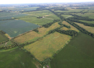 Wapello County 73.12+/- Acres