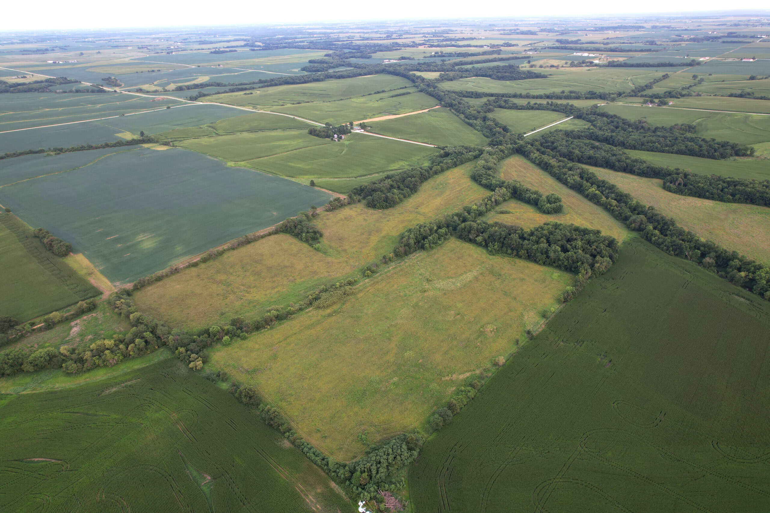 Wapello County 73.12+/- Acres