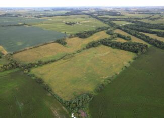 Wapello County 73.12+/- Acres
