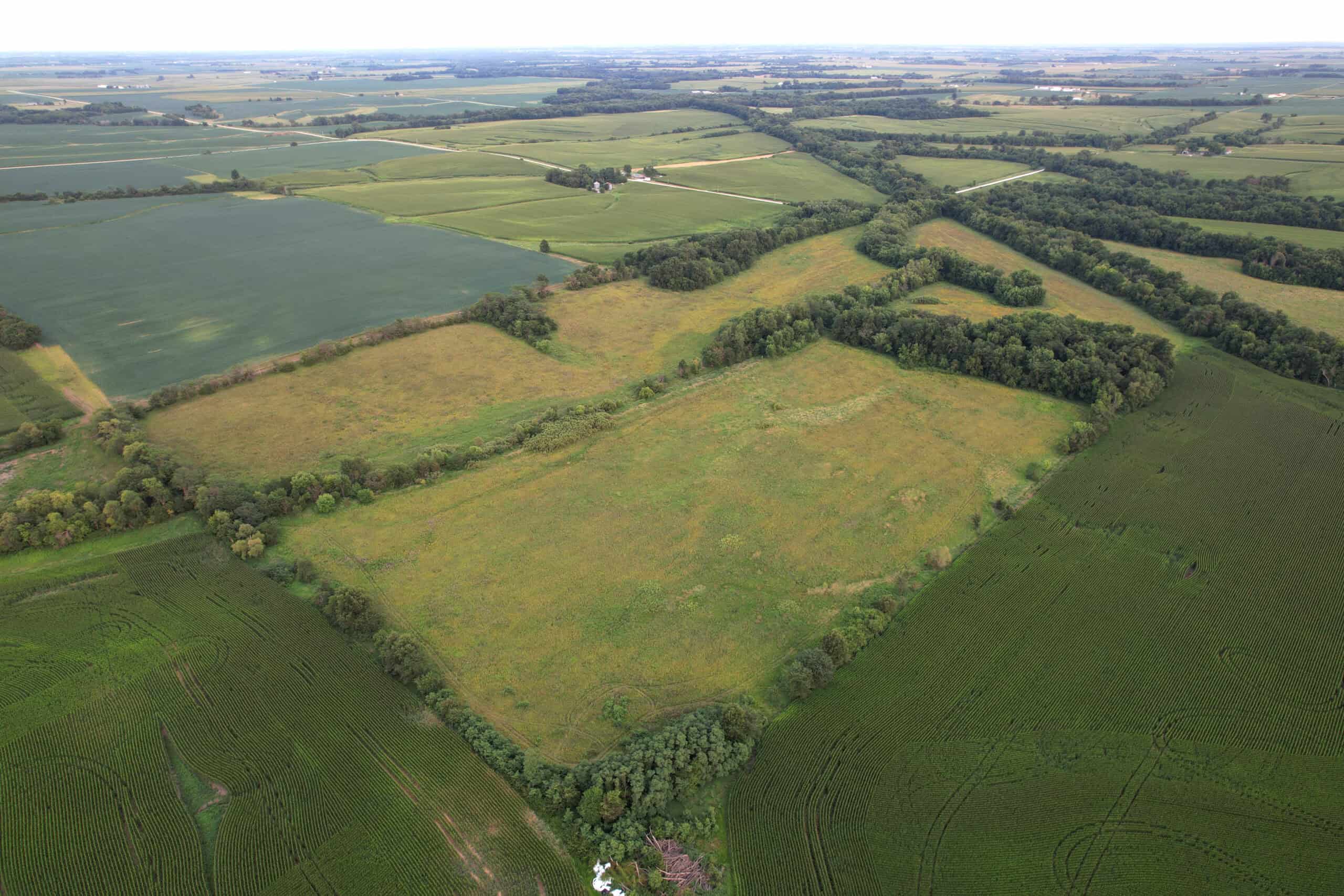 Wapello County 73.12+/- Acres