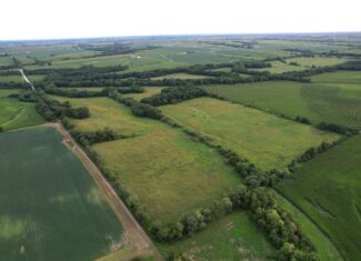 Wapello County 73.12+/- Acres