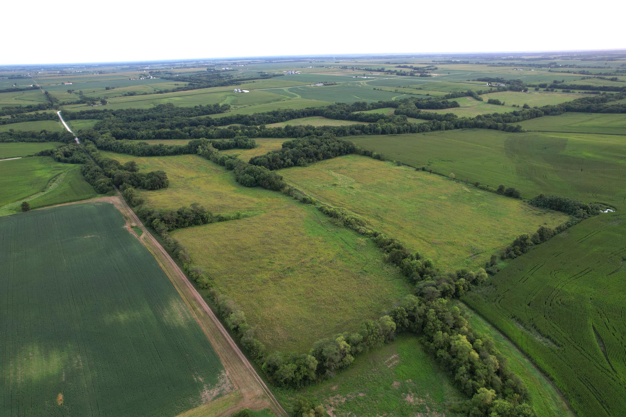 Wapello County 73.12+/- Acres