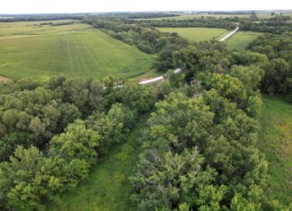 Wapello County 73.12+/- Acres