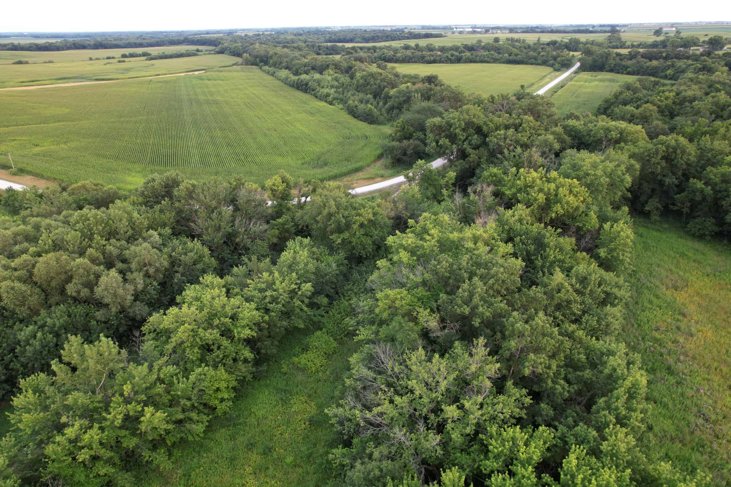 Wapello County 73.12+/- Acres