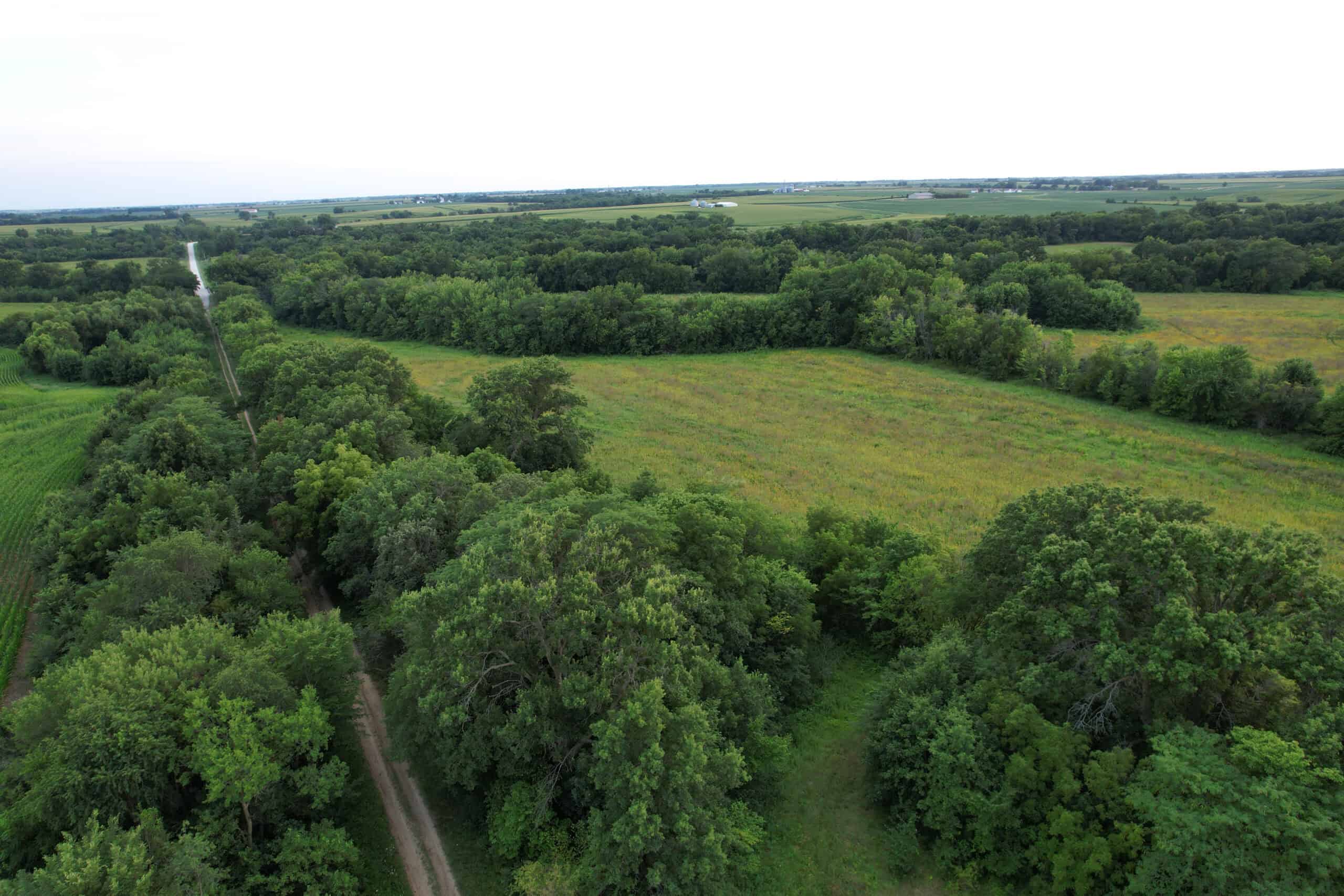 Wapello County 73.12+/- Acres