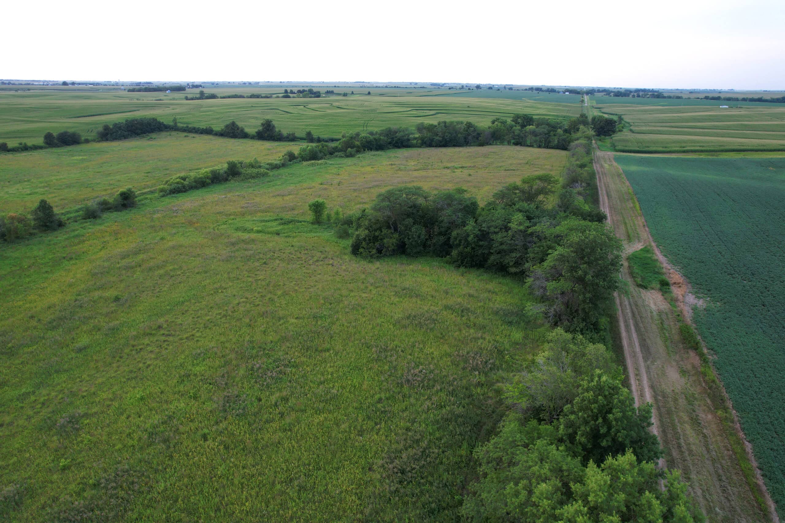 Wapello County 73.12+/- Acres