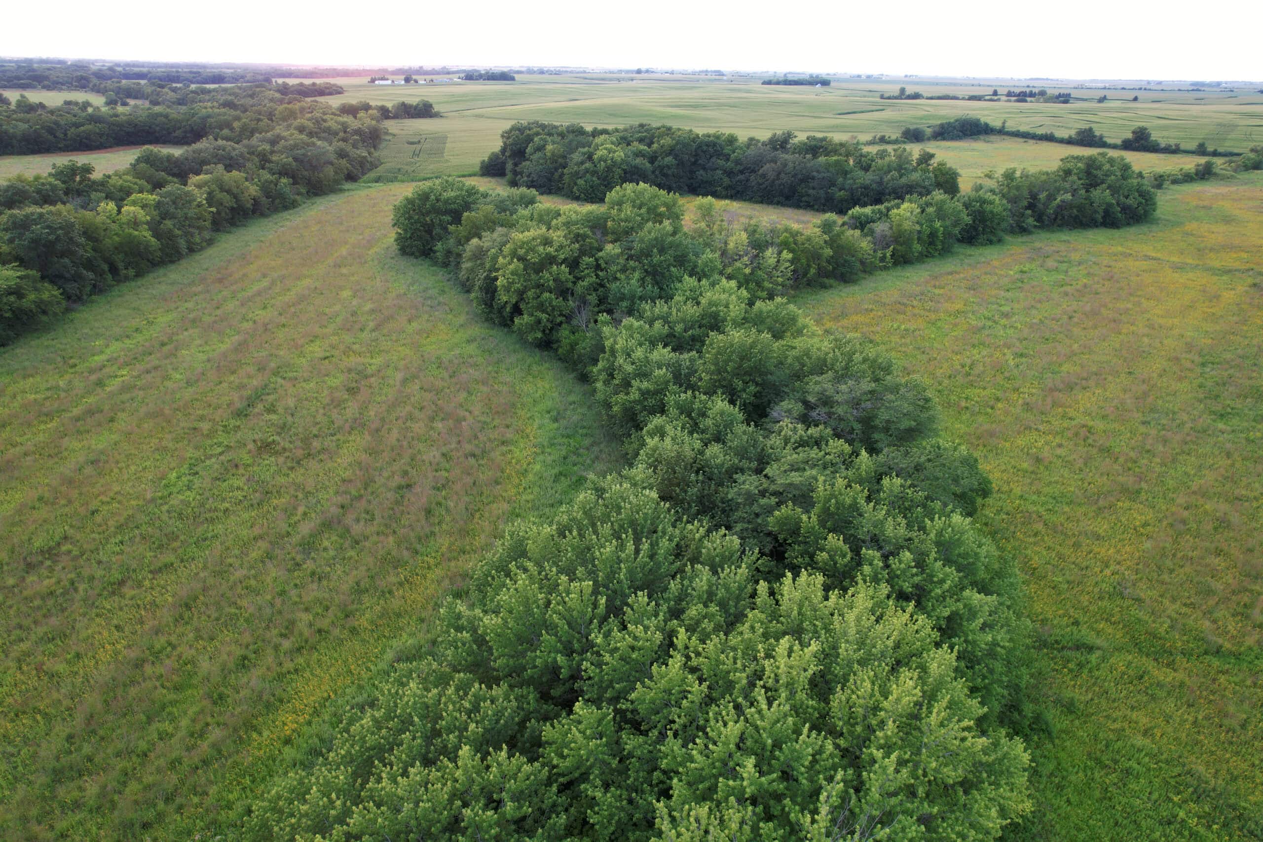 Wapello County 73.12+/- Acres