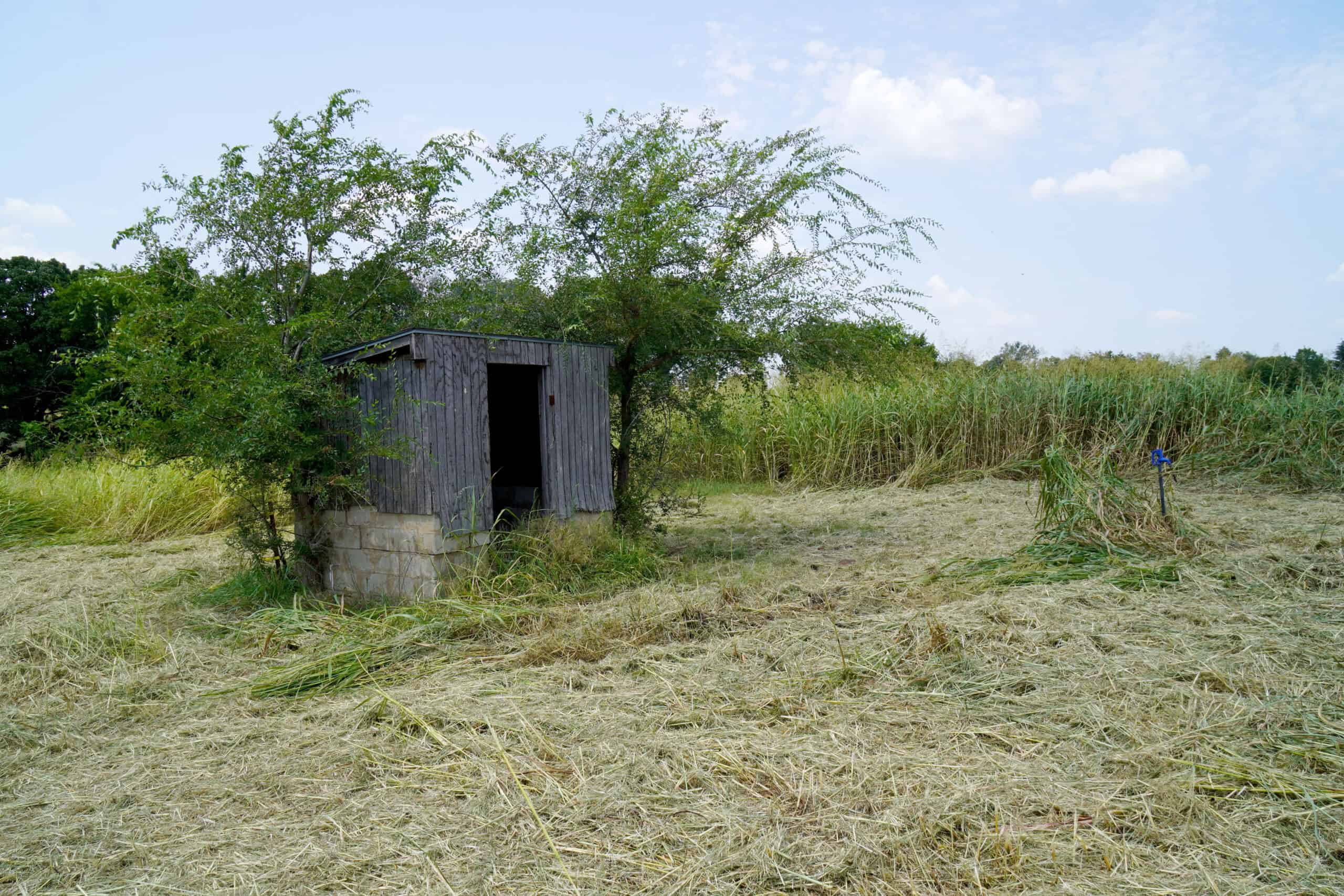Tr 3 – Rolling 30 Ac+/- Homesite Land Auction Okfuskee County, OK