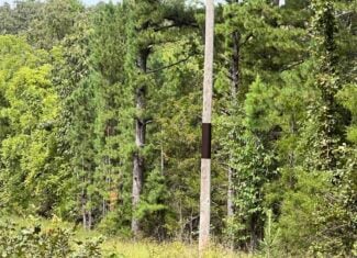 000 County Road F-147, Alton, Missouri