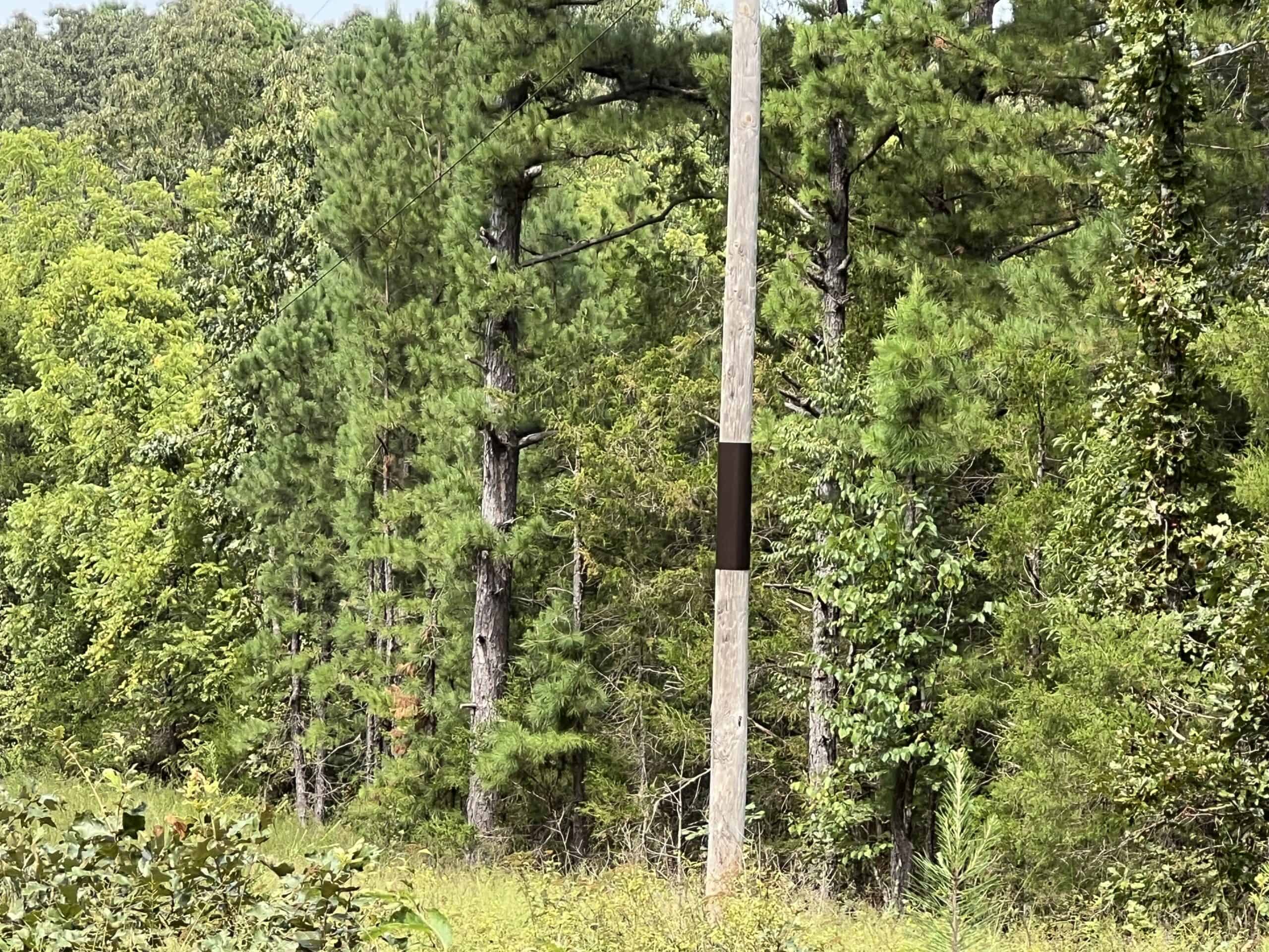 000 County Road F-147, Alton, Missouri