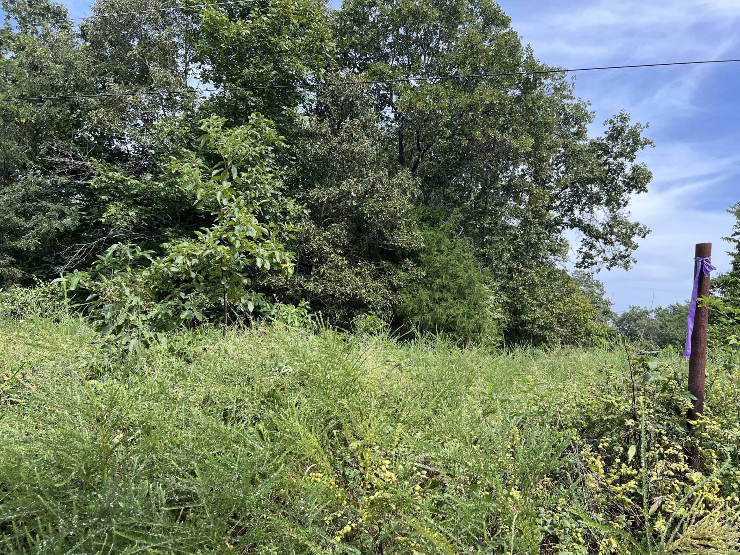 000 County Road F-147, Alton, Missouri