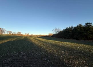 92+/- Acres of Hunting Land in Green Lake WI