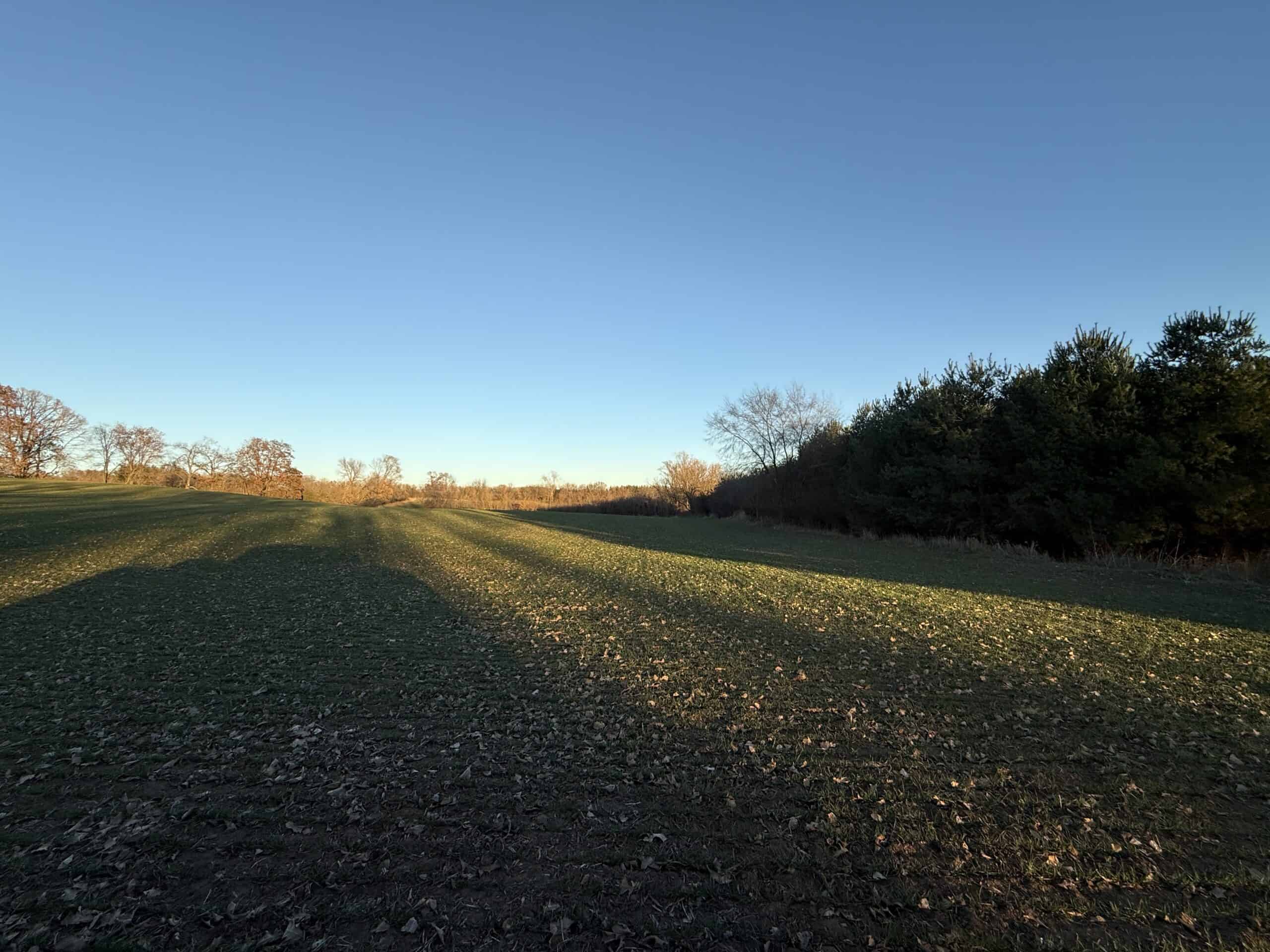92+/- Acres of Hunting Land in Green Lake WI