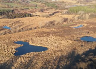 92+/- Acres of Hunting Land in Green Lake WI