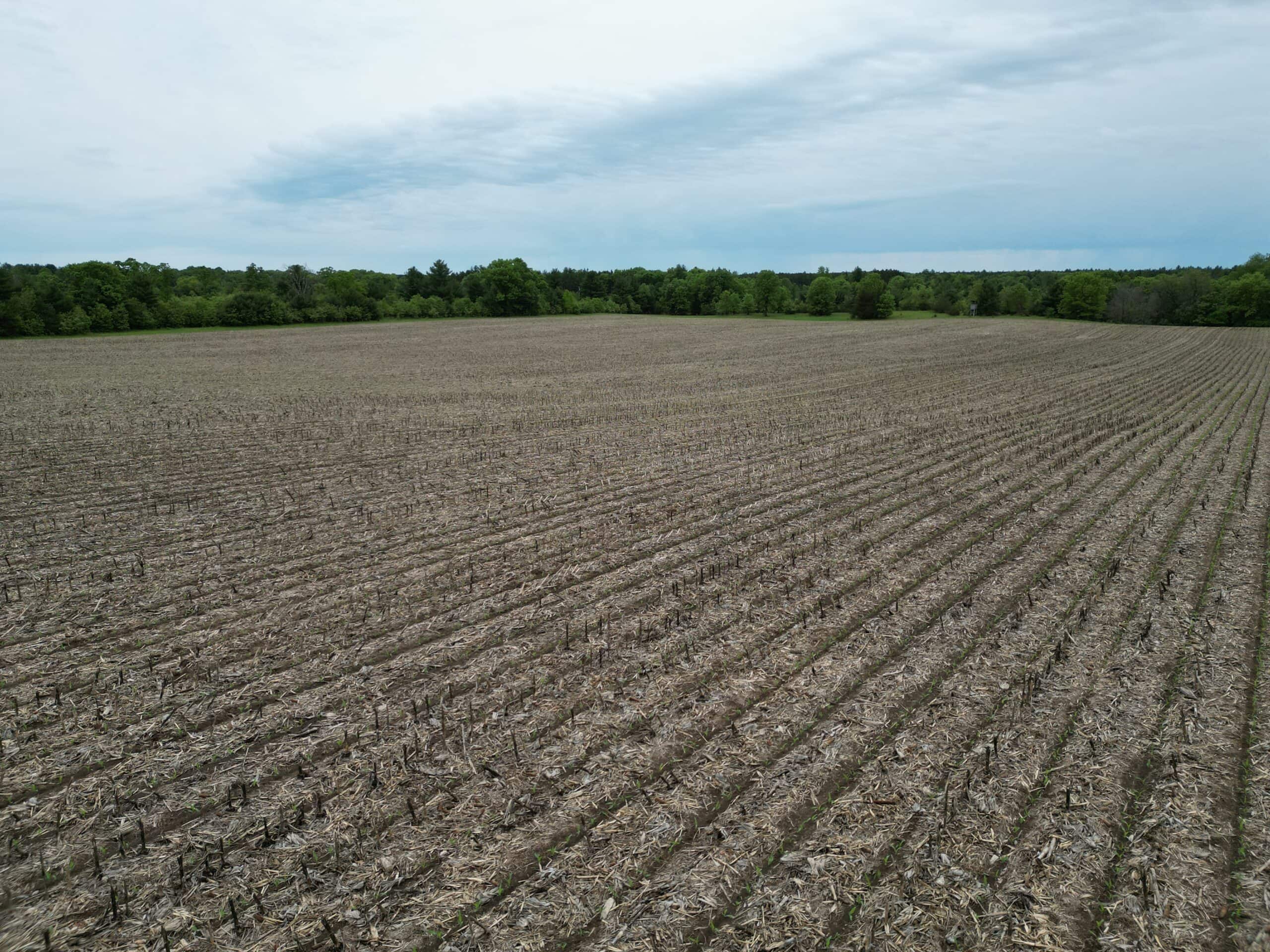 122+/- acre outdoor paradise in Waushara County WI