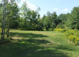 27.4 Surveyed Acres with Brook Frontage – Monroe, Maine