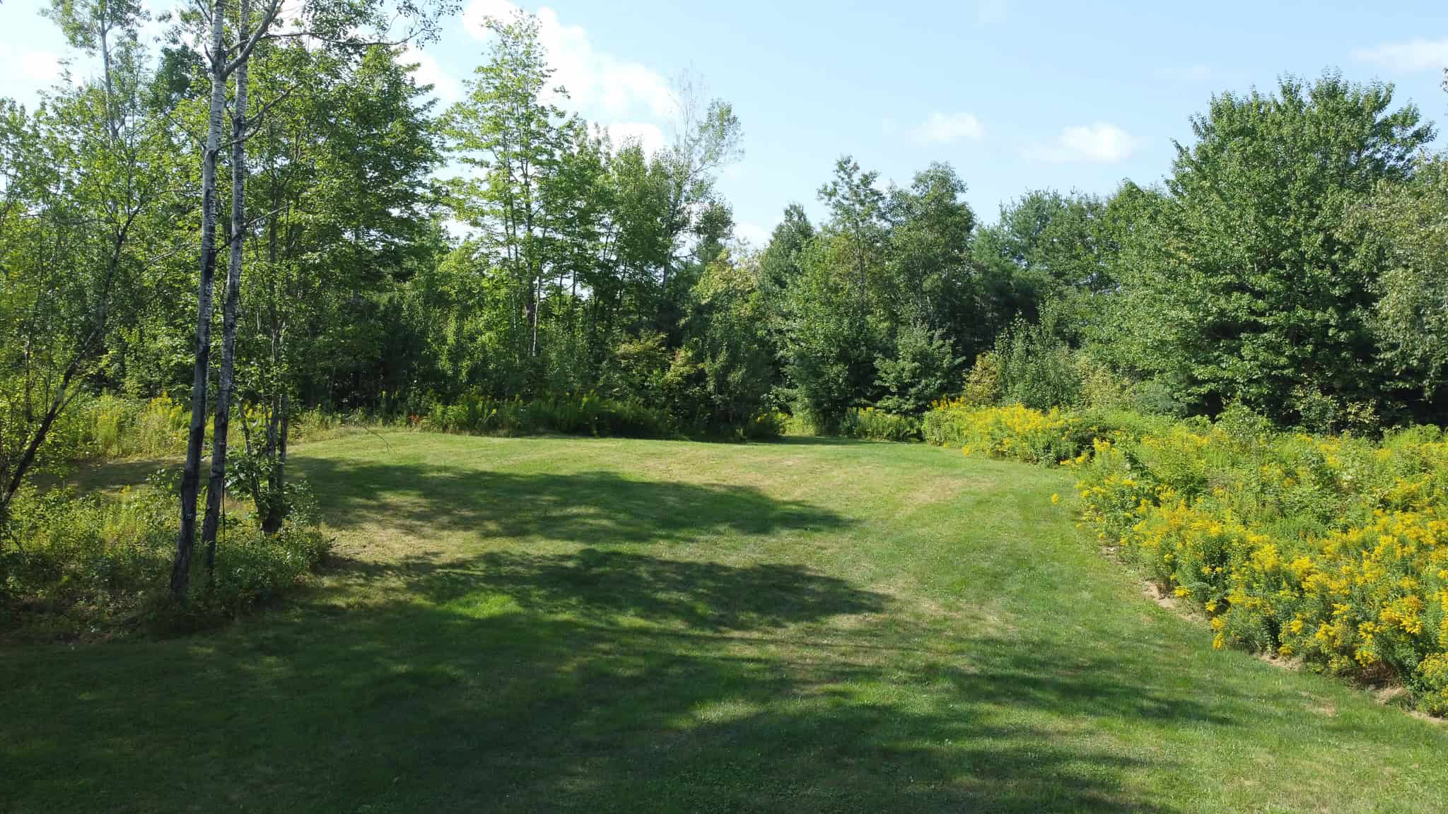 27.4 Surveyed Acres with Brook Frontage – Monroe, Maine