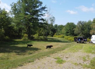 27.4 Surveyed Acres with Brook Frontage – Monroe, Maine
