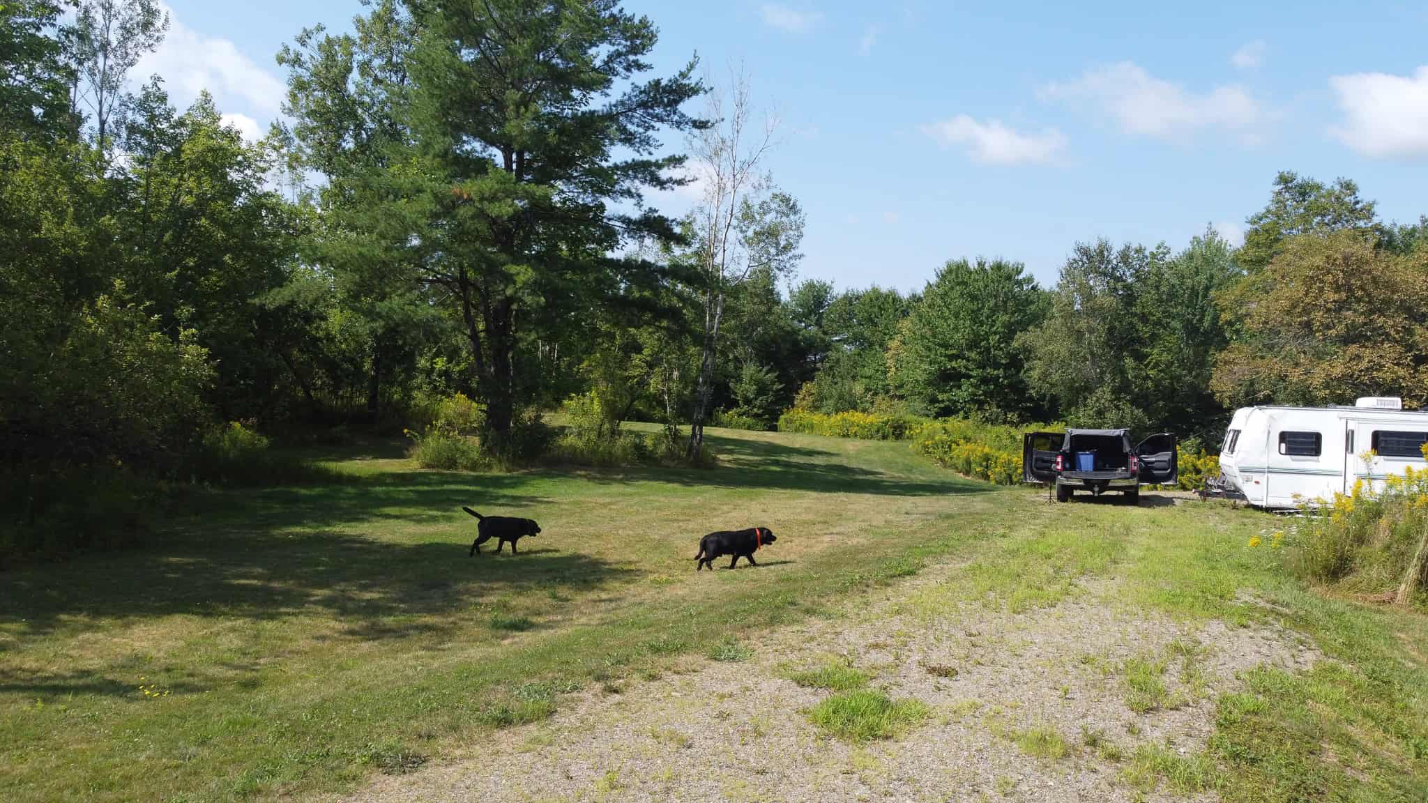 27.4 Surveyed Acres with Brook Frontage – Monroe, Maine
