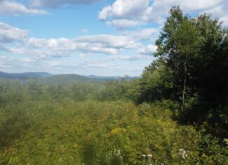 11.48 Acre Parcel with Mountain Views – Temple, Maine