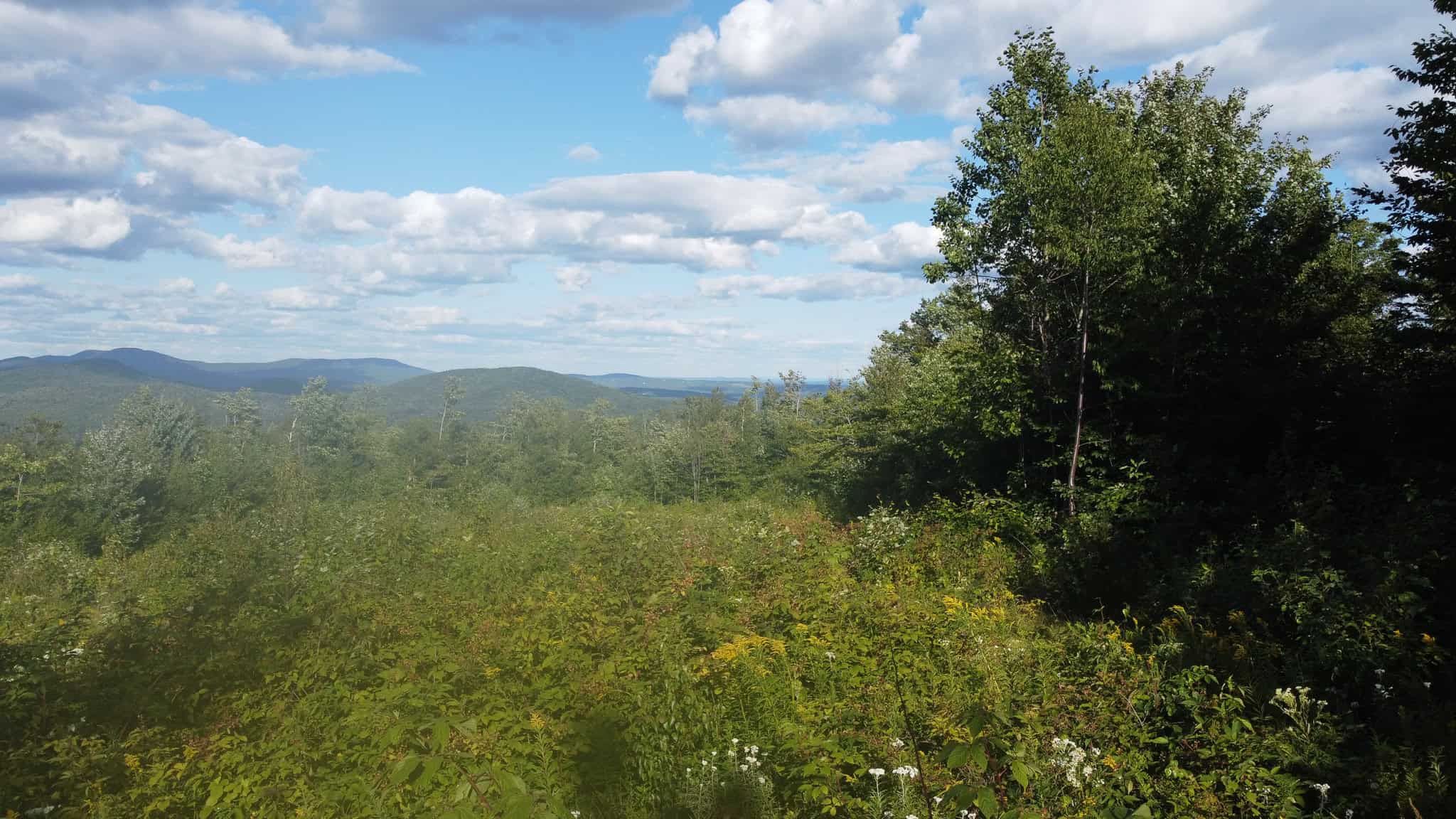 11.48 Acre Parcel with Mountain Views – Temple, Maine