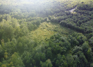 11.48 Acre Parcel with Mountain Views – Temple, Maine