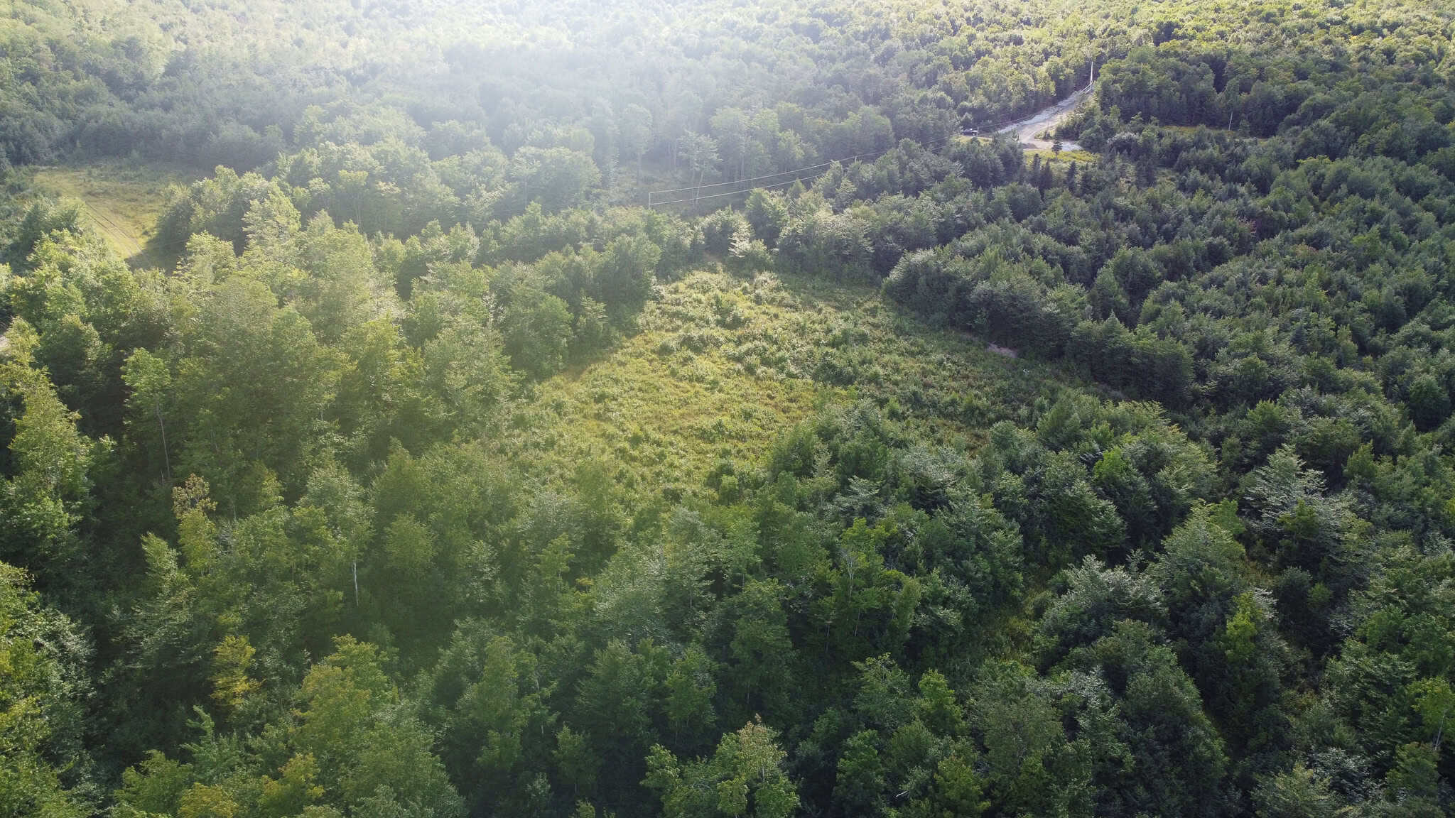 11.48 Acre Parcel with Mountain Views – Temple, Maine