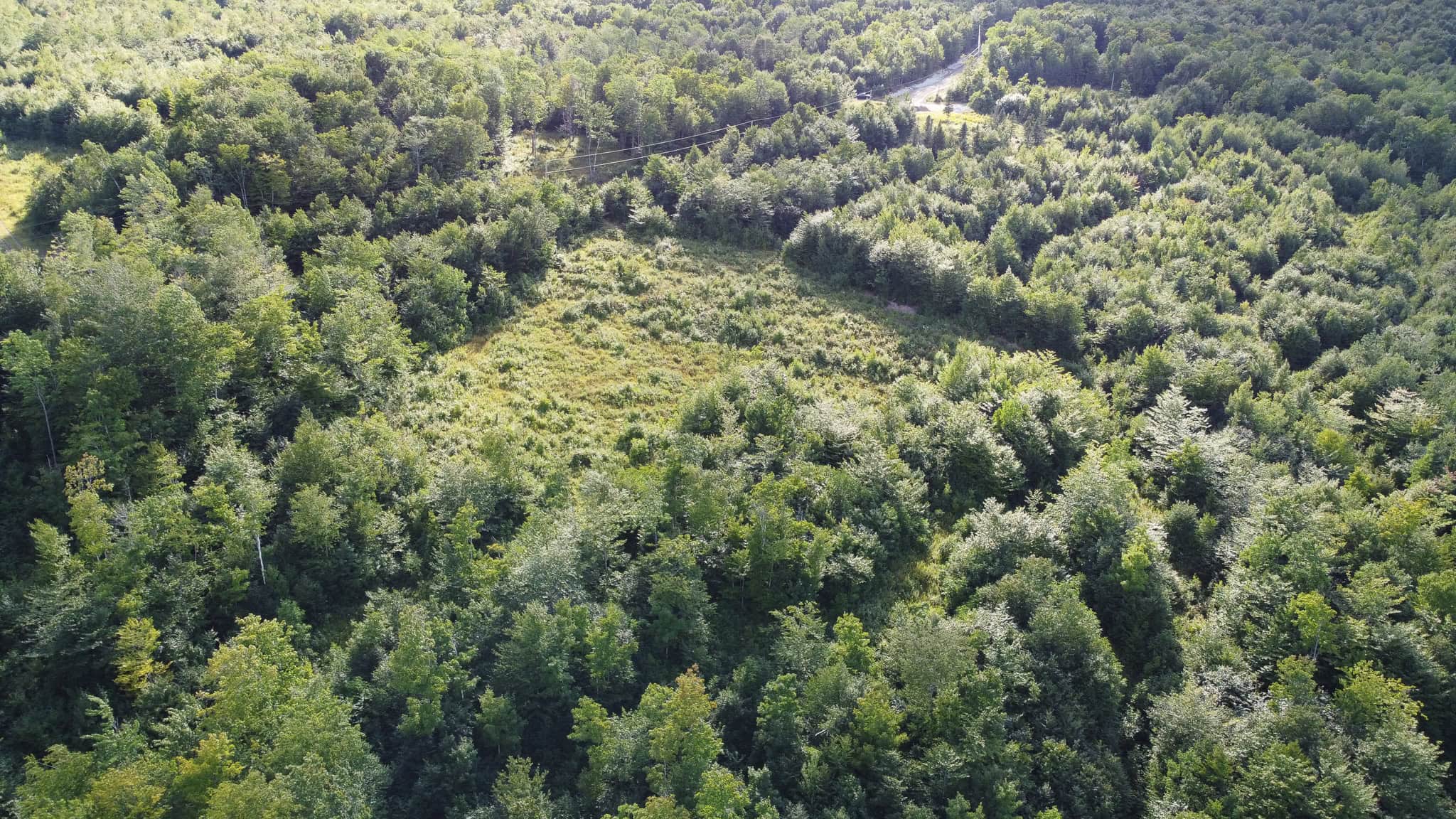 11.48 Acre Parcel with Mountain Views – Temple, Maine