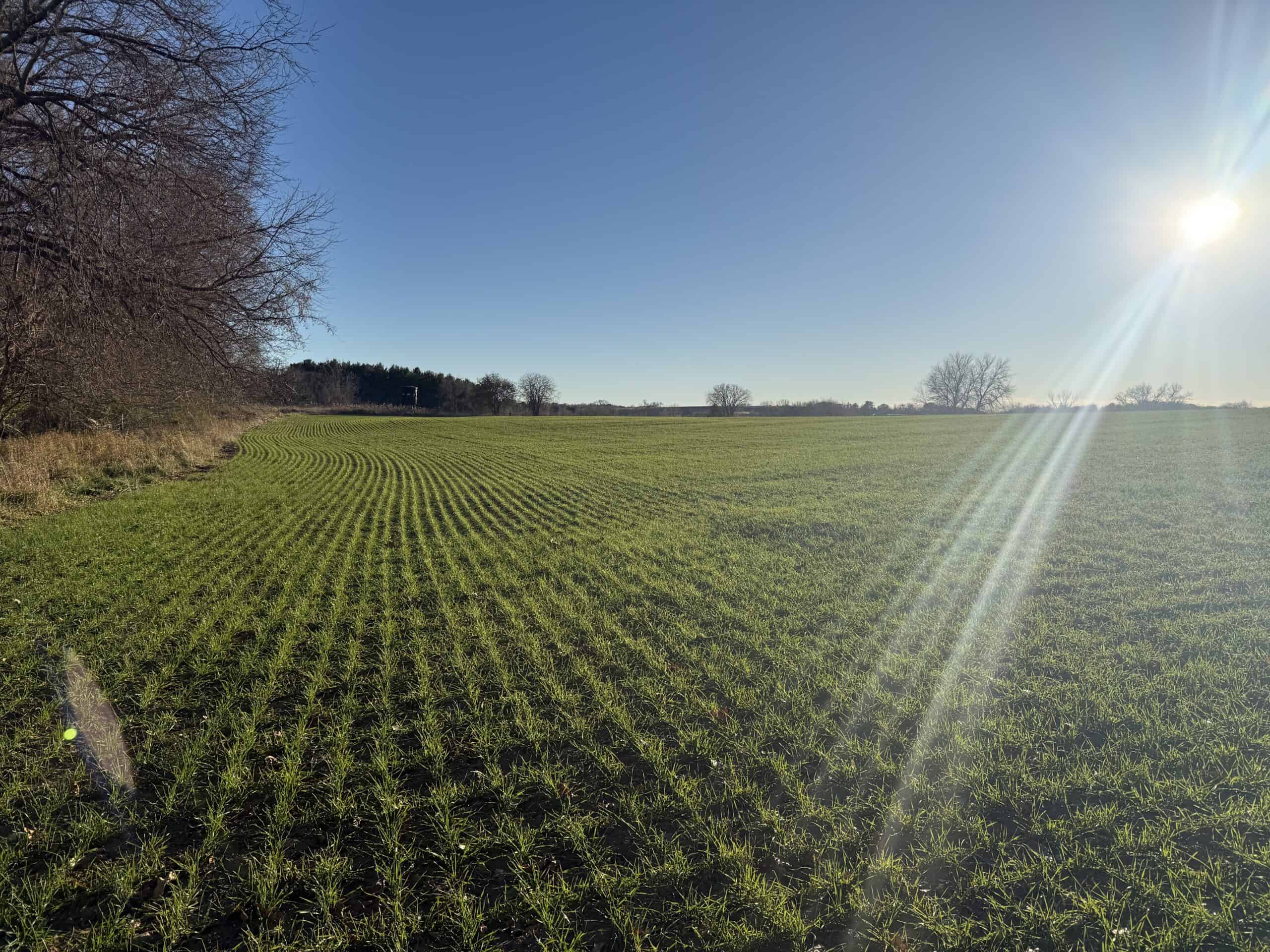 92+/- Acres of Hunting Land in Green Lake WI