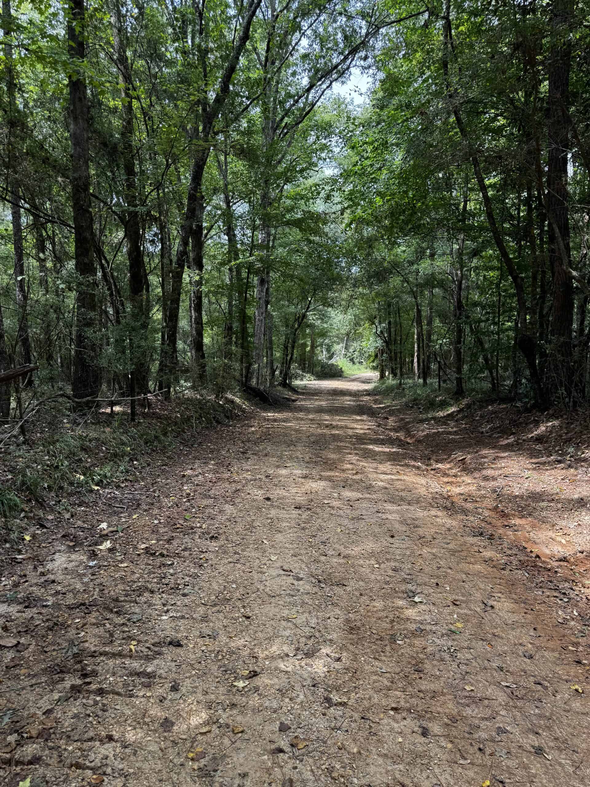 30 Acres of Mature Timber for Sale in Pike County, MS
