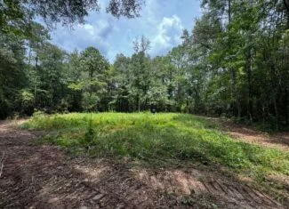 30 Acres of Mature Timber for Sale in Pike County, MS