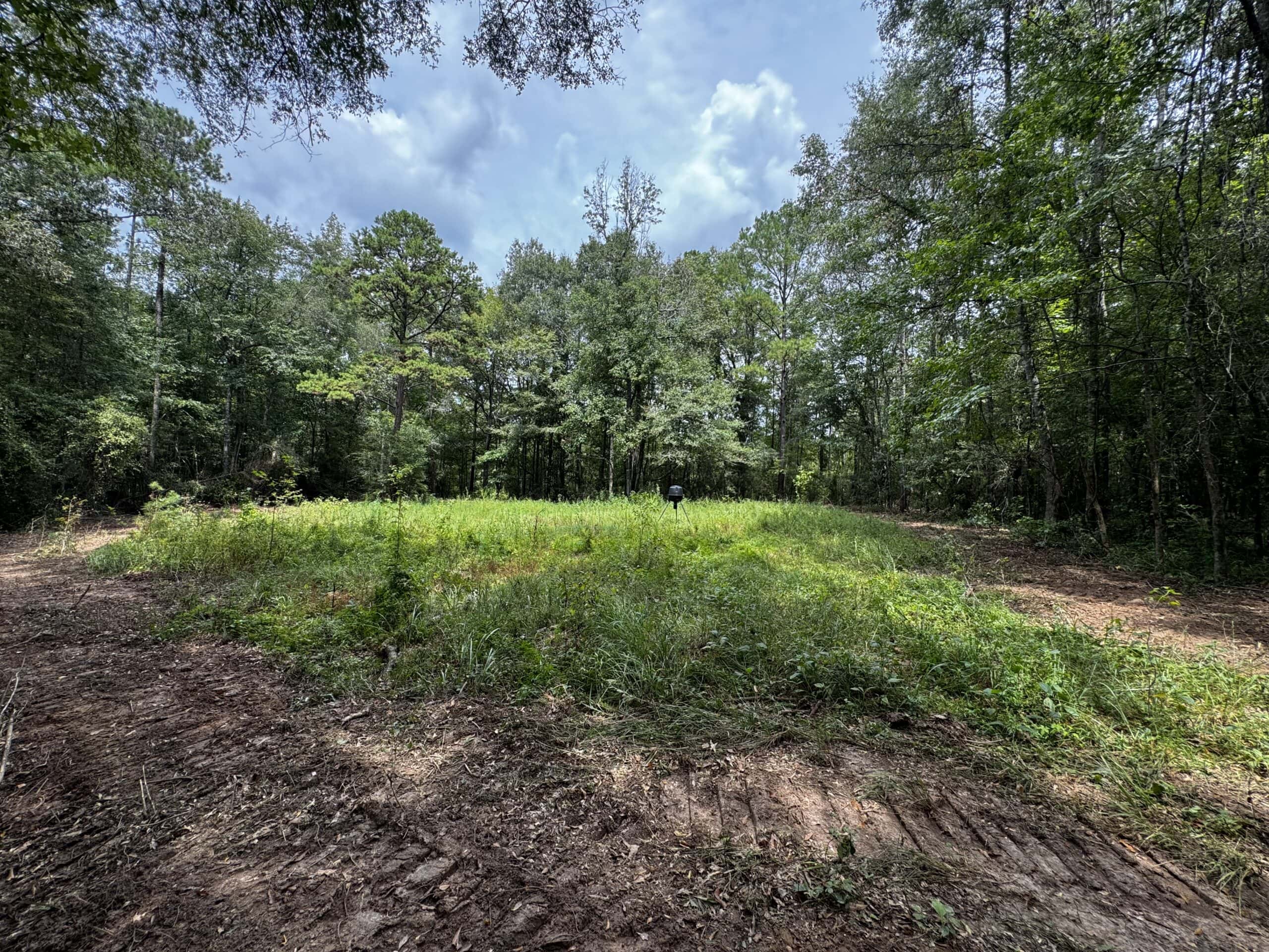 30 Acres of Mature Timber for Sale in Pike County, MS