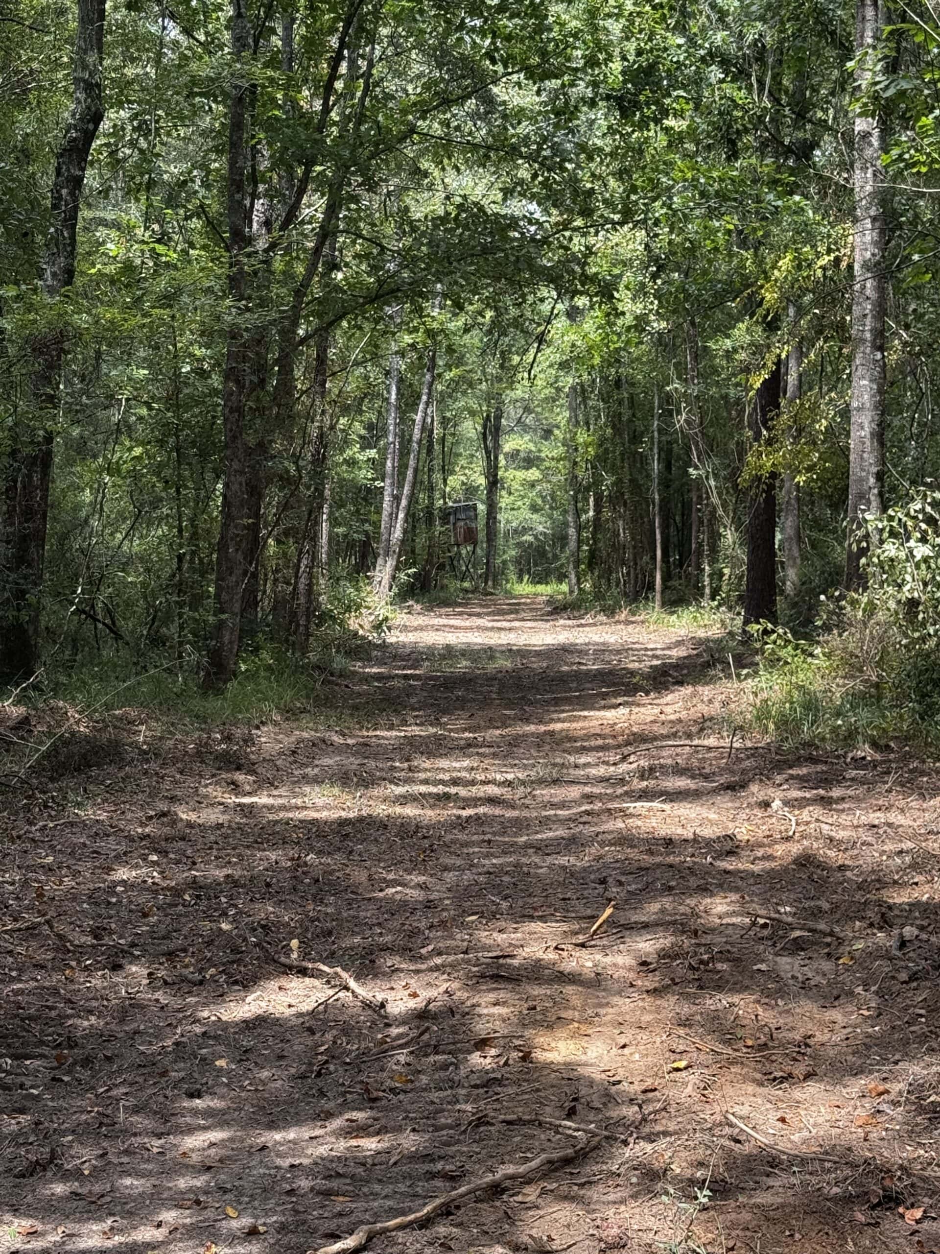 30 Acres of Mature Timber for Sale in Pike County, MS