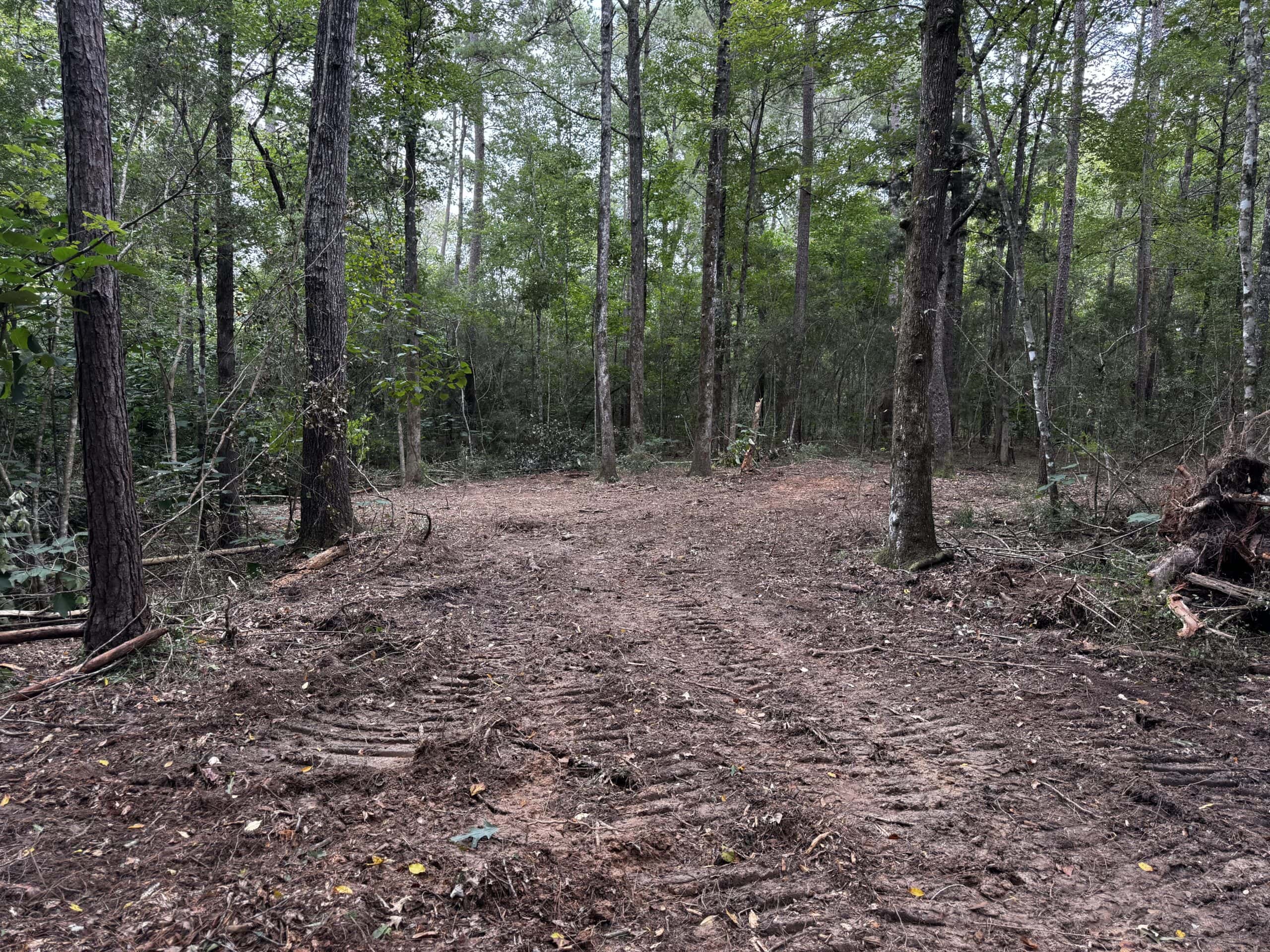 30 Acres of Mature Timber for Sale in Pike County, MS
