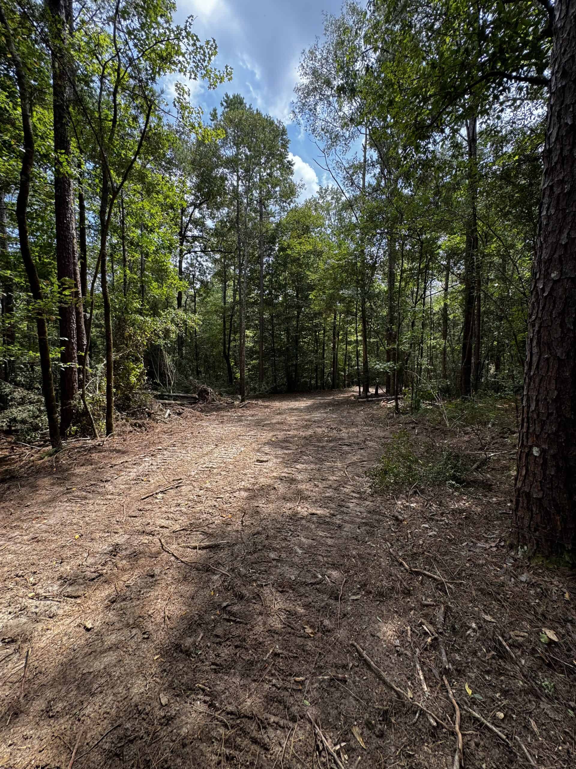 30 Acres of Mature Timber for Sale in Pike County, MS