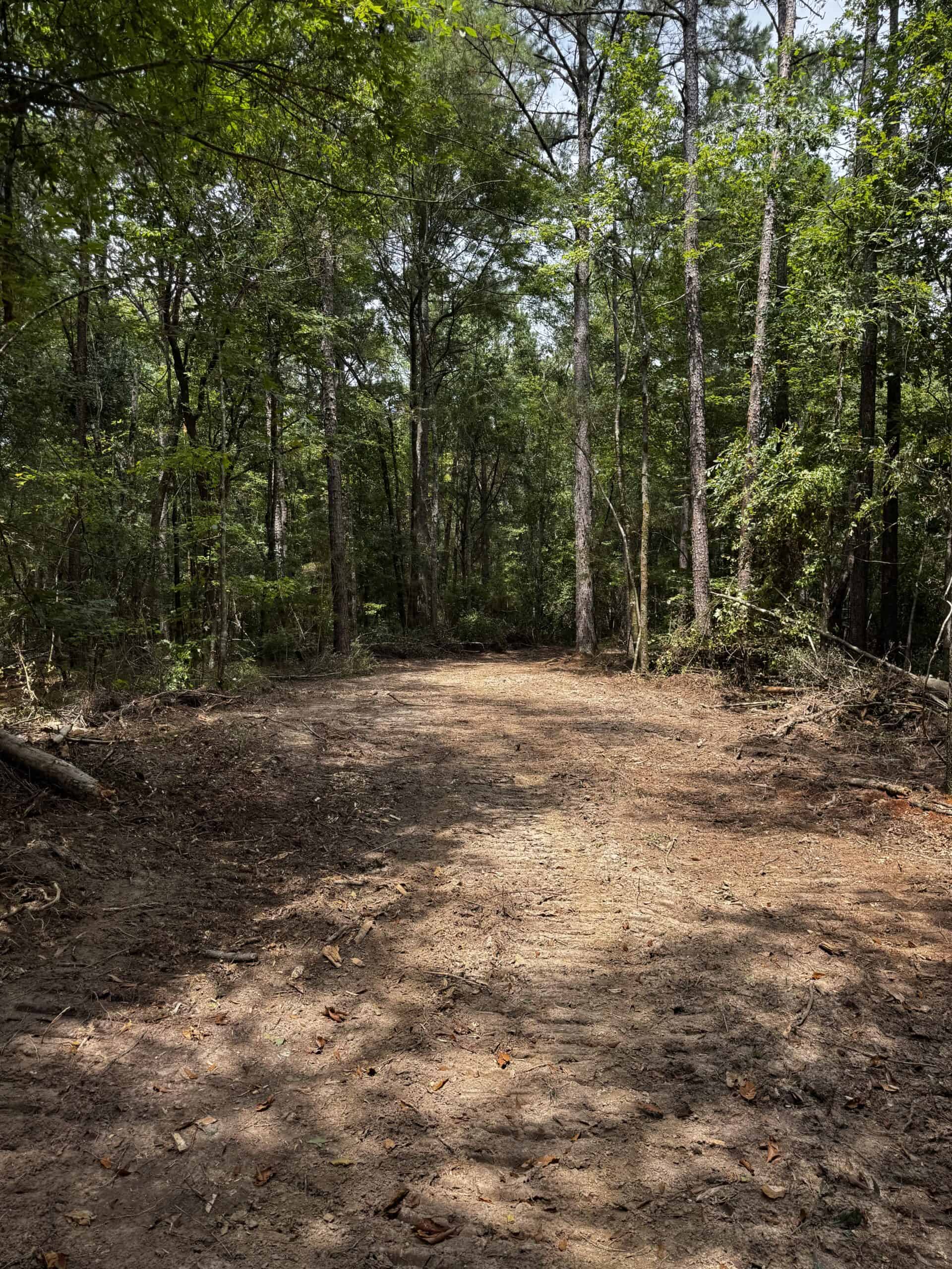 30 Acres of Mature Timber for Sale in Pike County, MS
