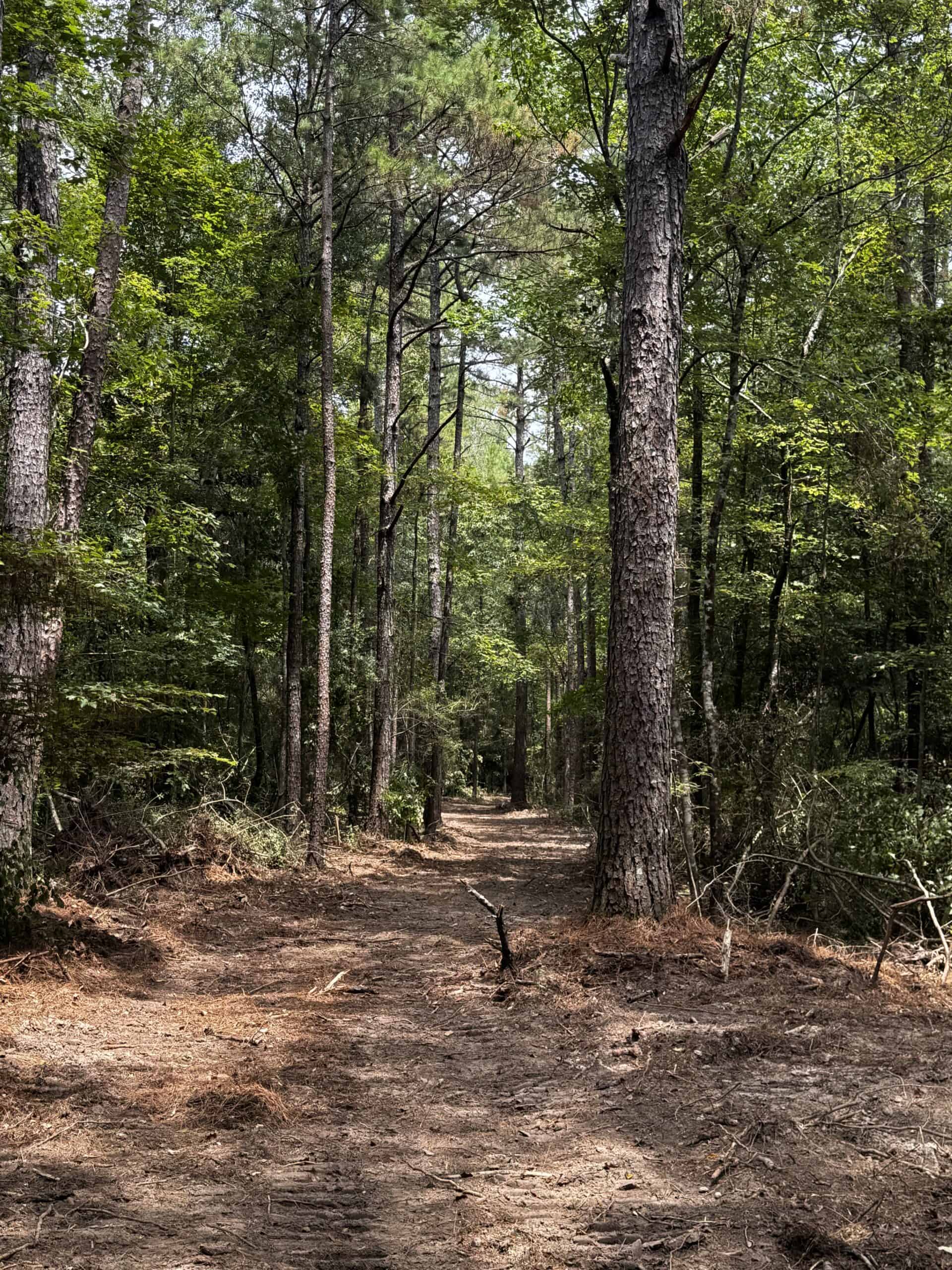 30 Acres of Mature Timber for Sale in Pike County, MS