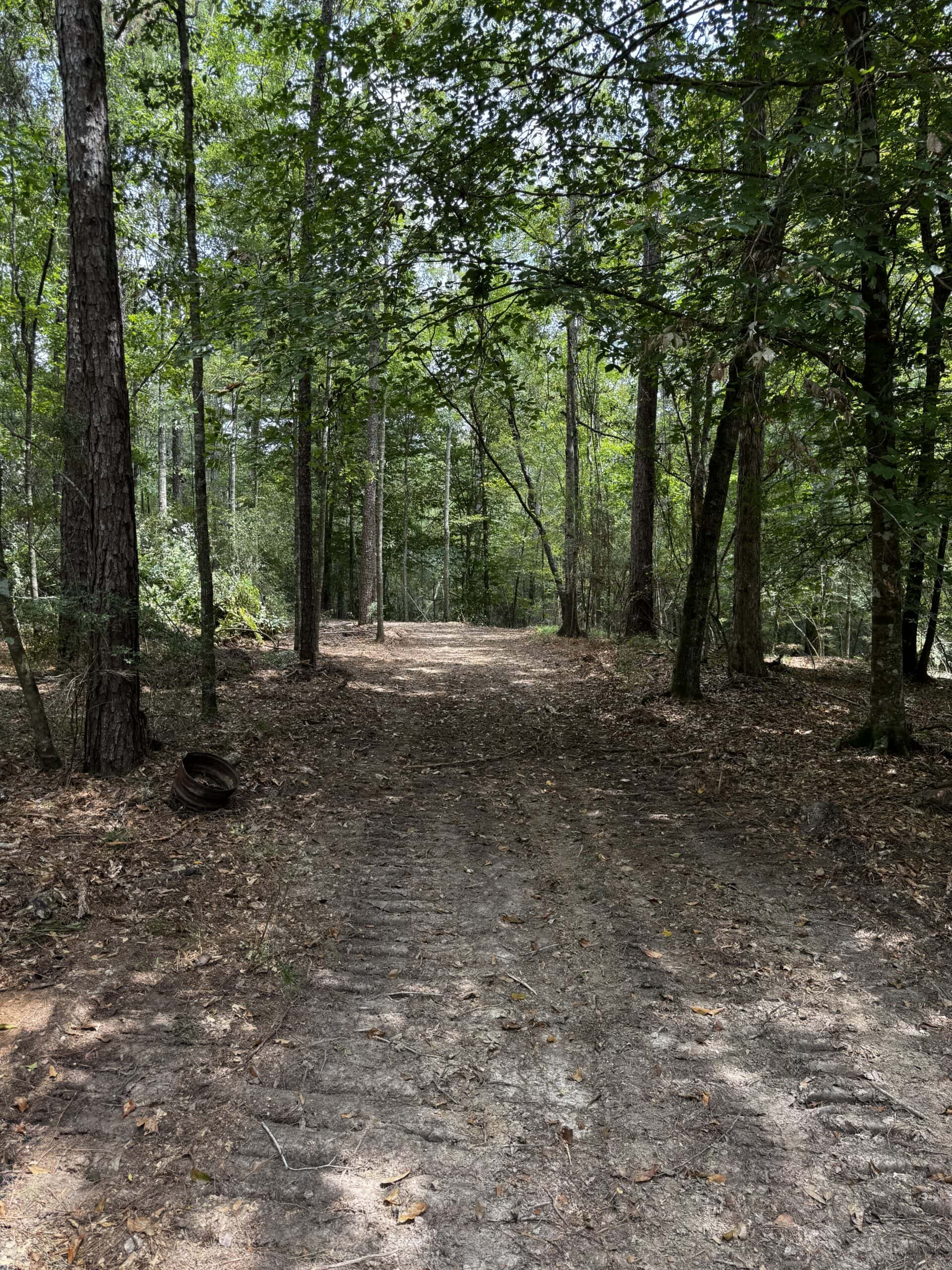 30 Acres of Mature Timber for Sale in Pike County, MS