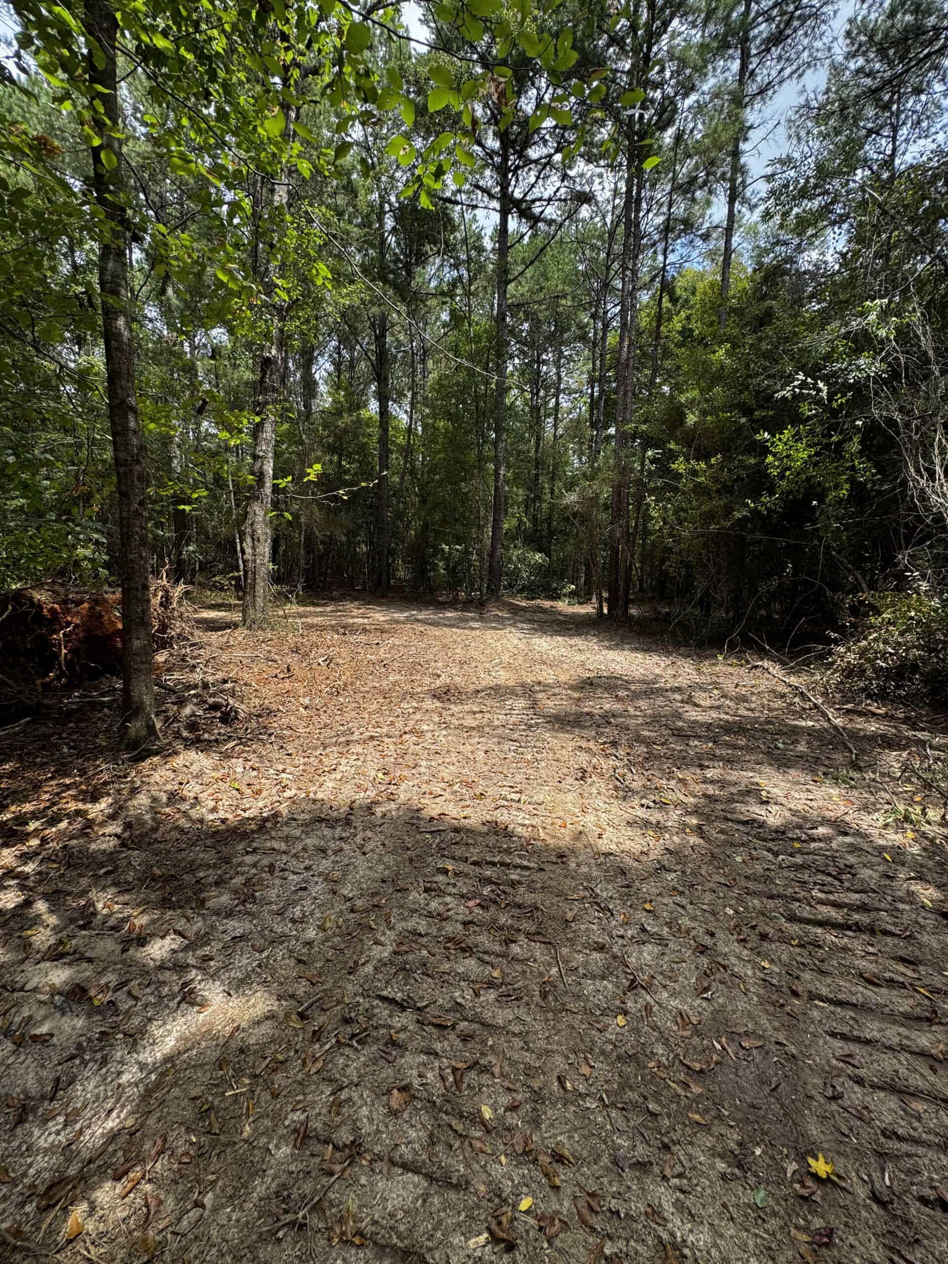 30 Acres of Mature Timber for Sale in Pike County, MS