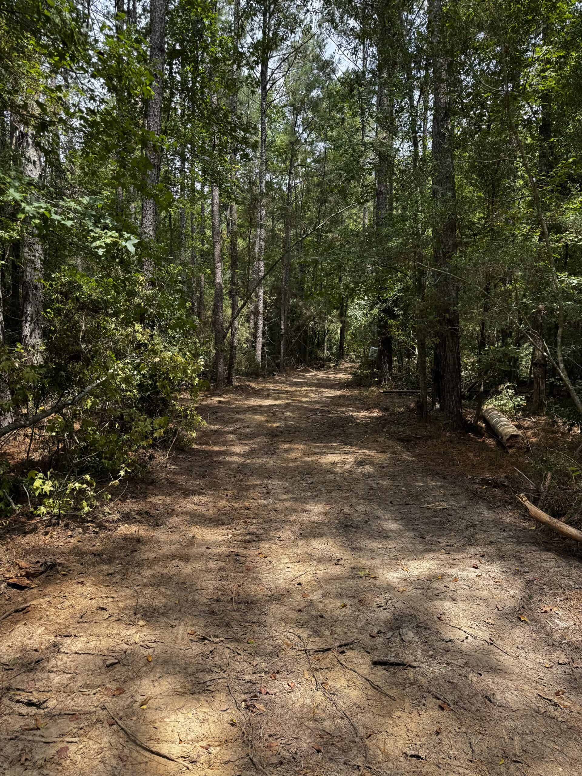30 Acres of Mature Timber for Sale in Pike County, MS